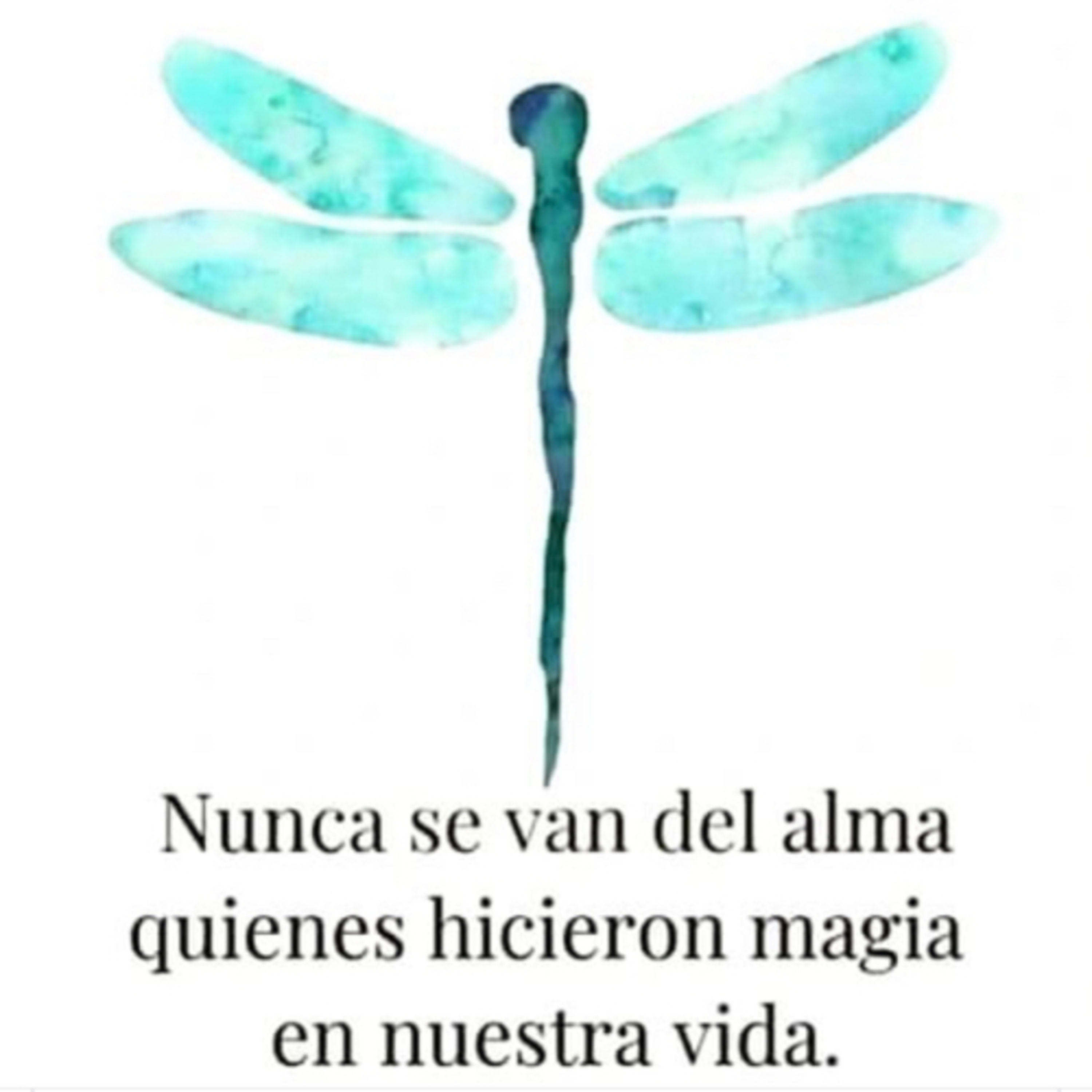 Portada de Intención del día