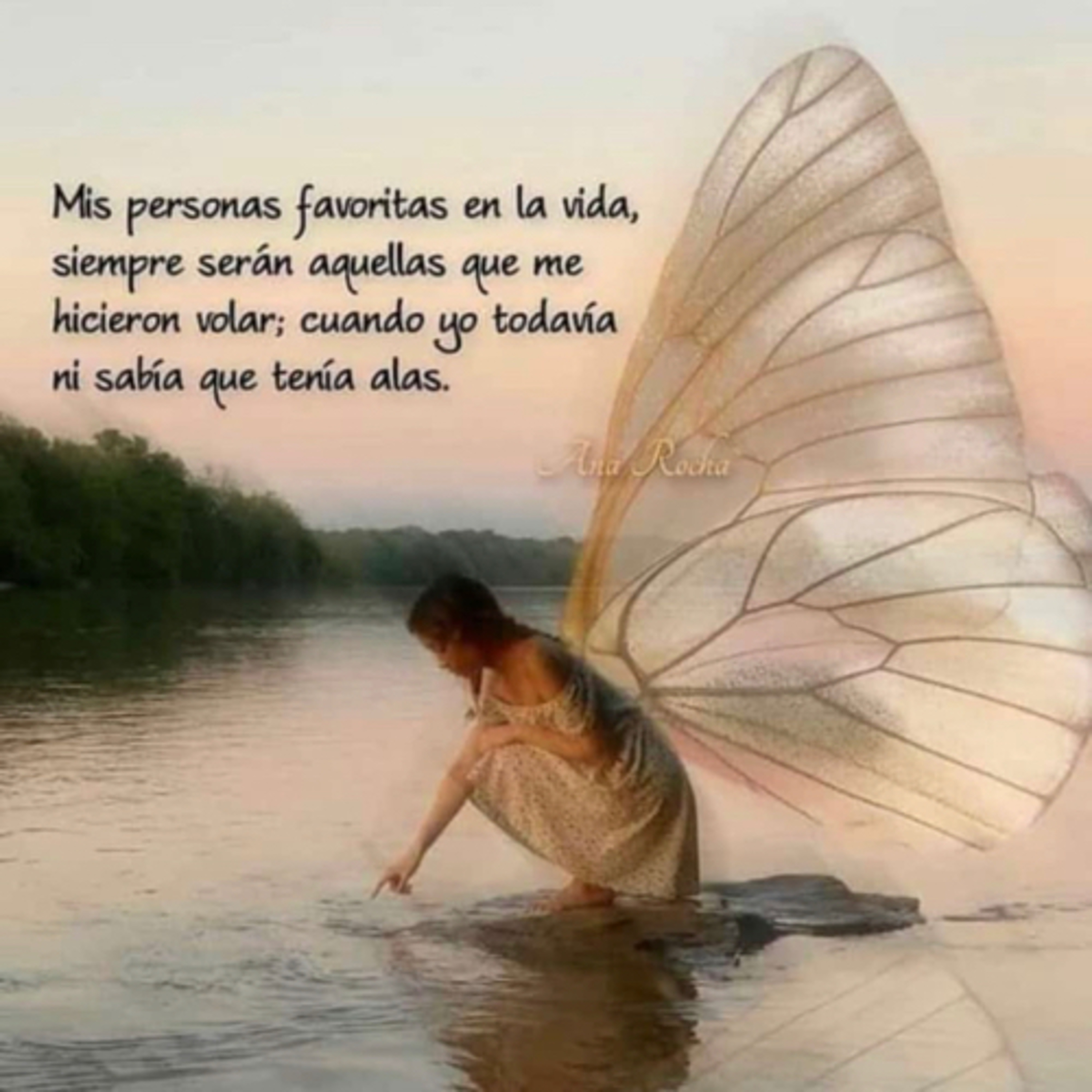 Portada de Intención del día