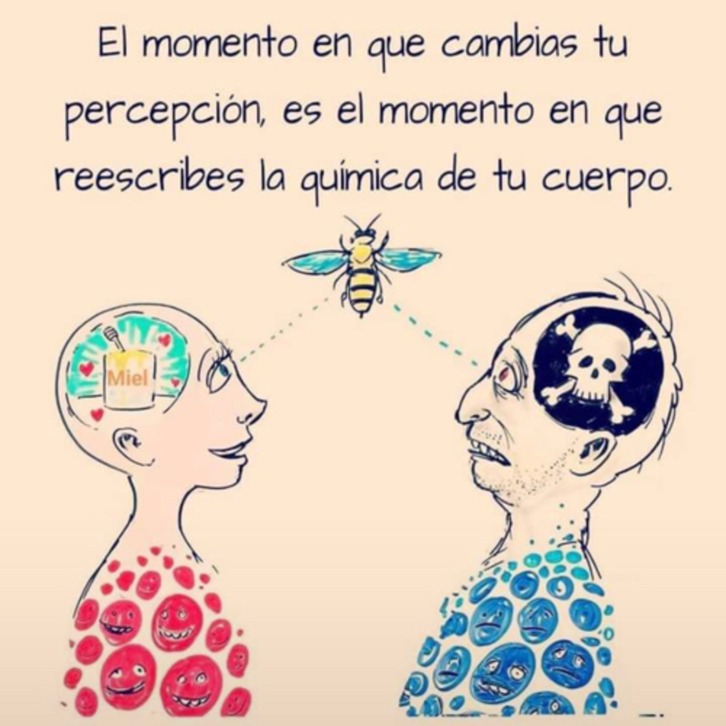 Portada de Intención del día