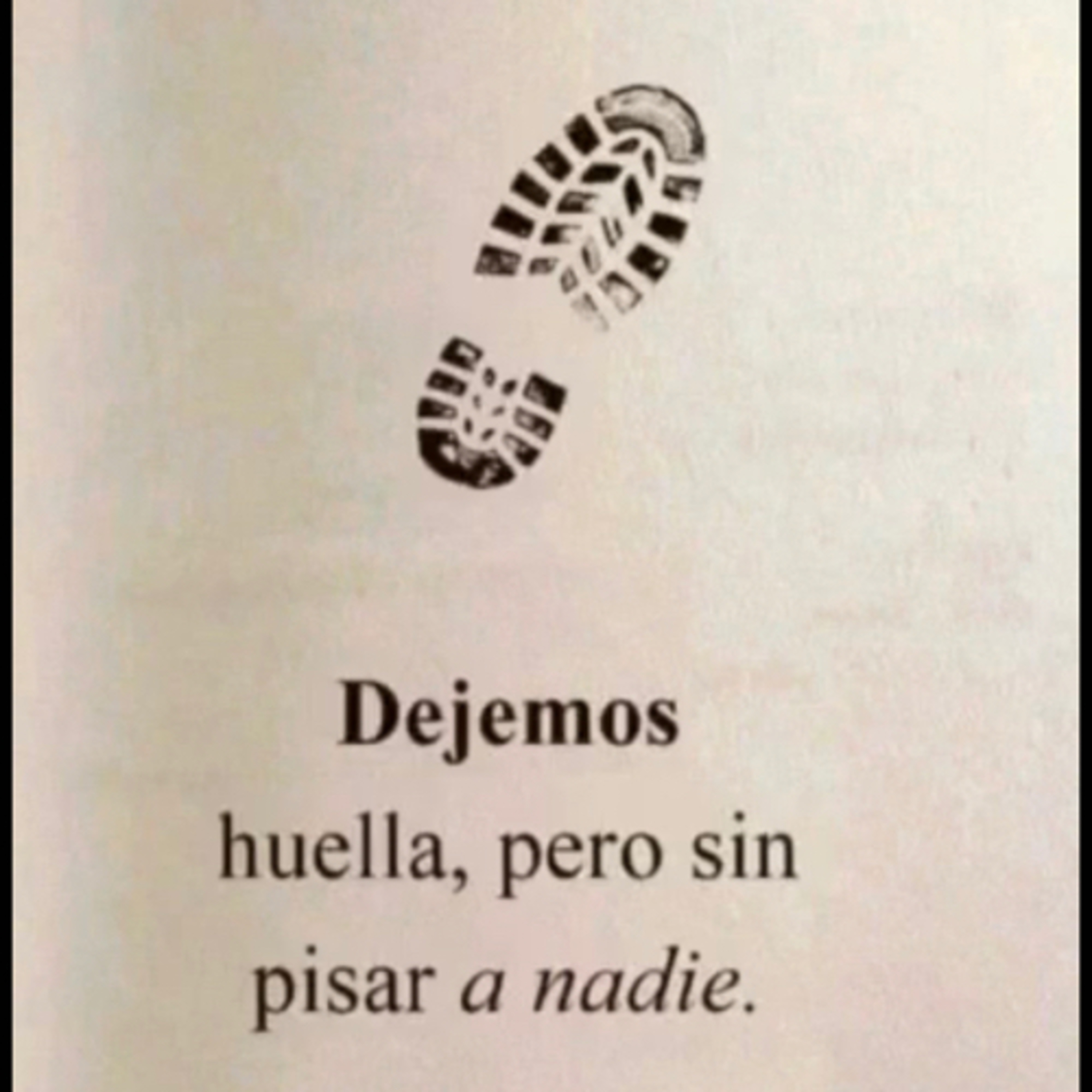 Portada de Intención del día