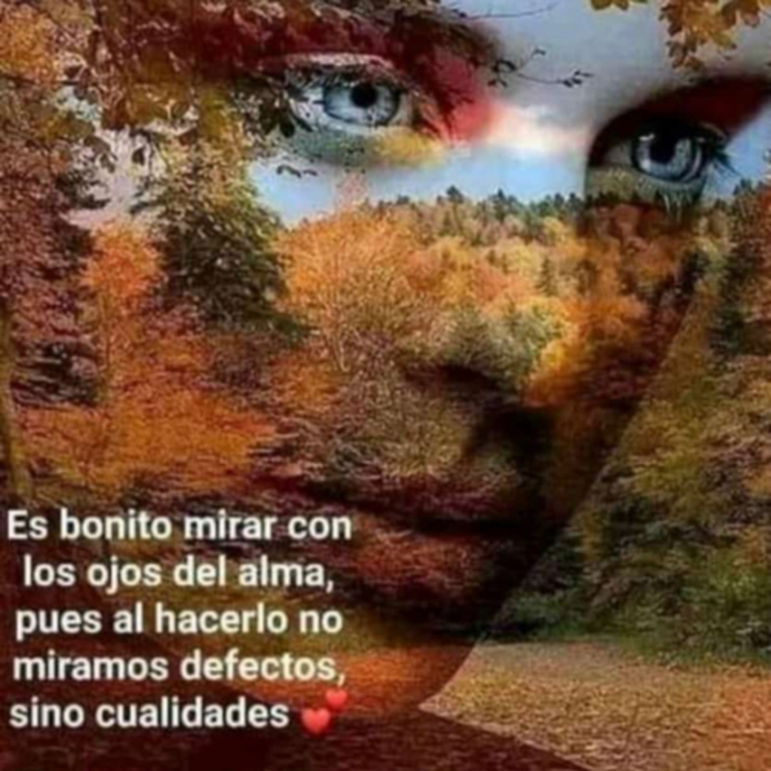 Portada de Intención del día