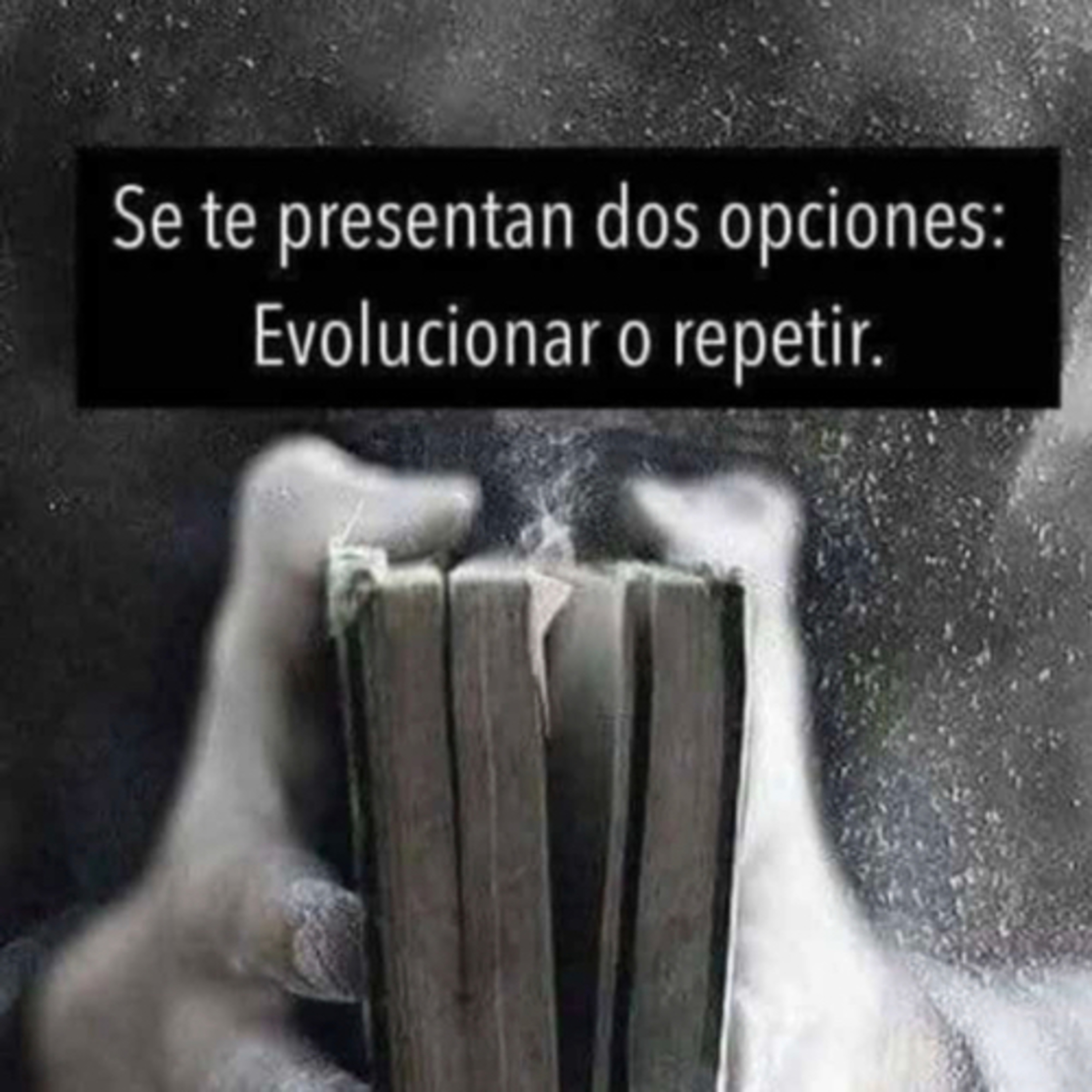 Portada de Intención del día
