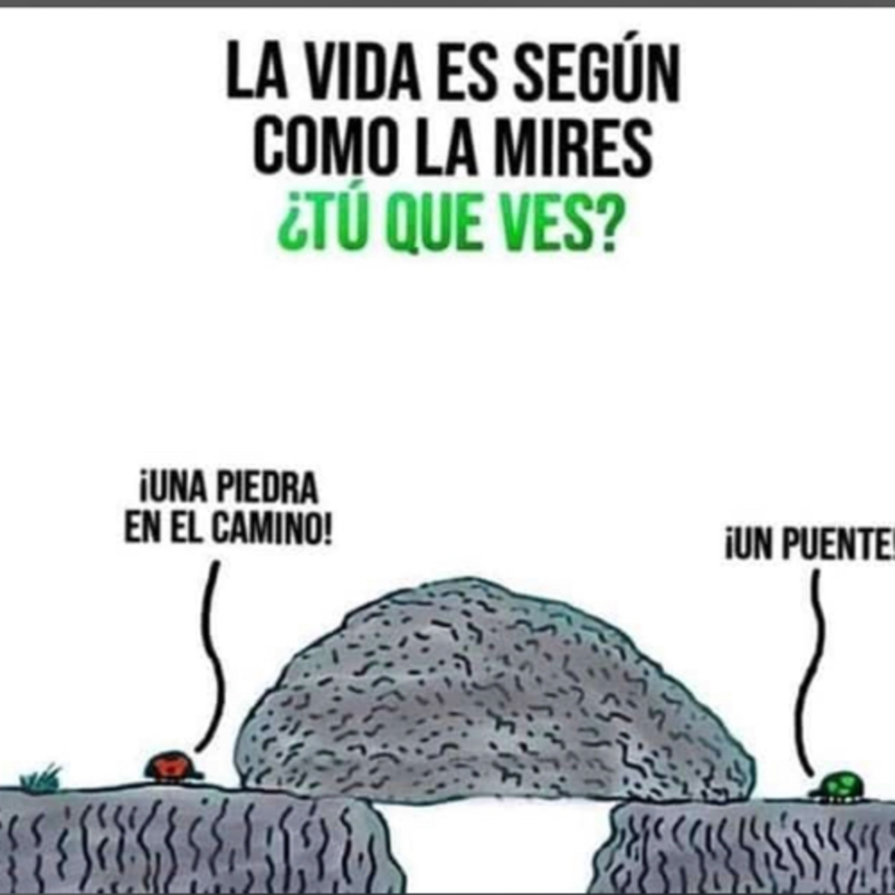 Portada de Intención del día