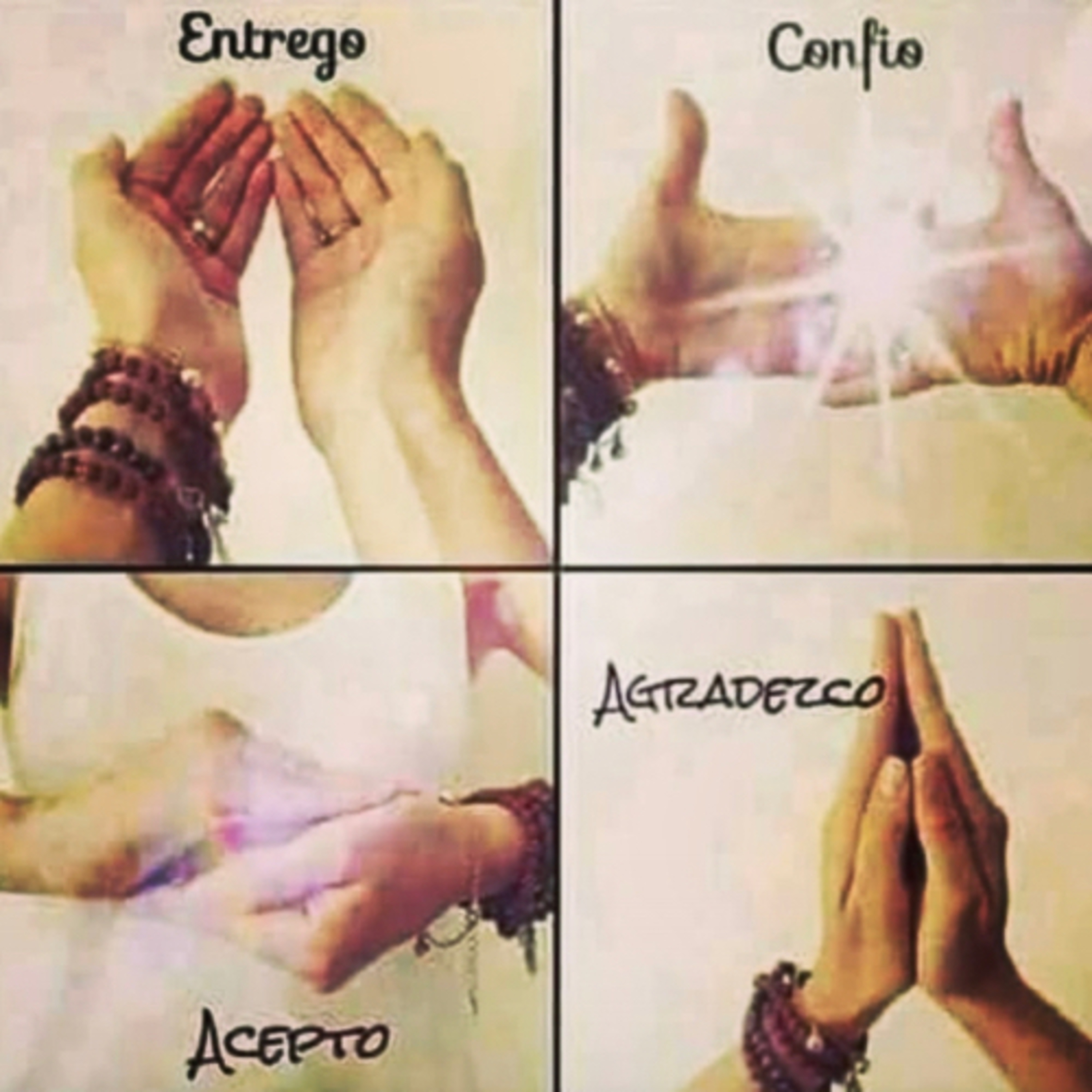 Portada de Intención del día