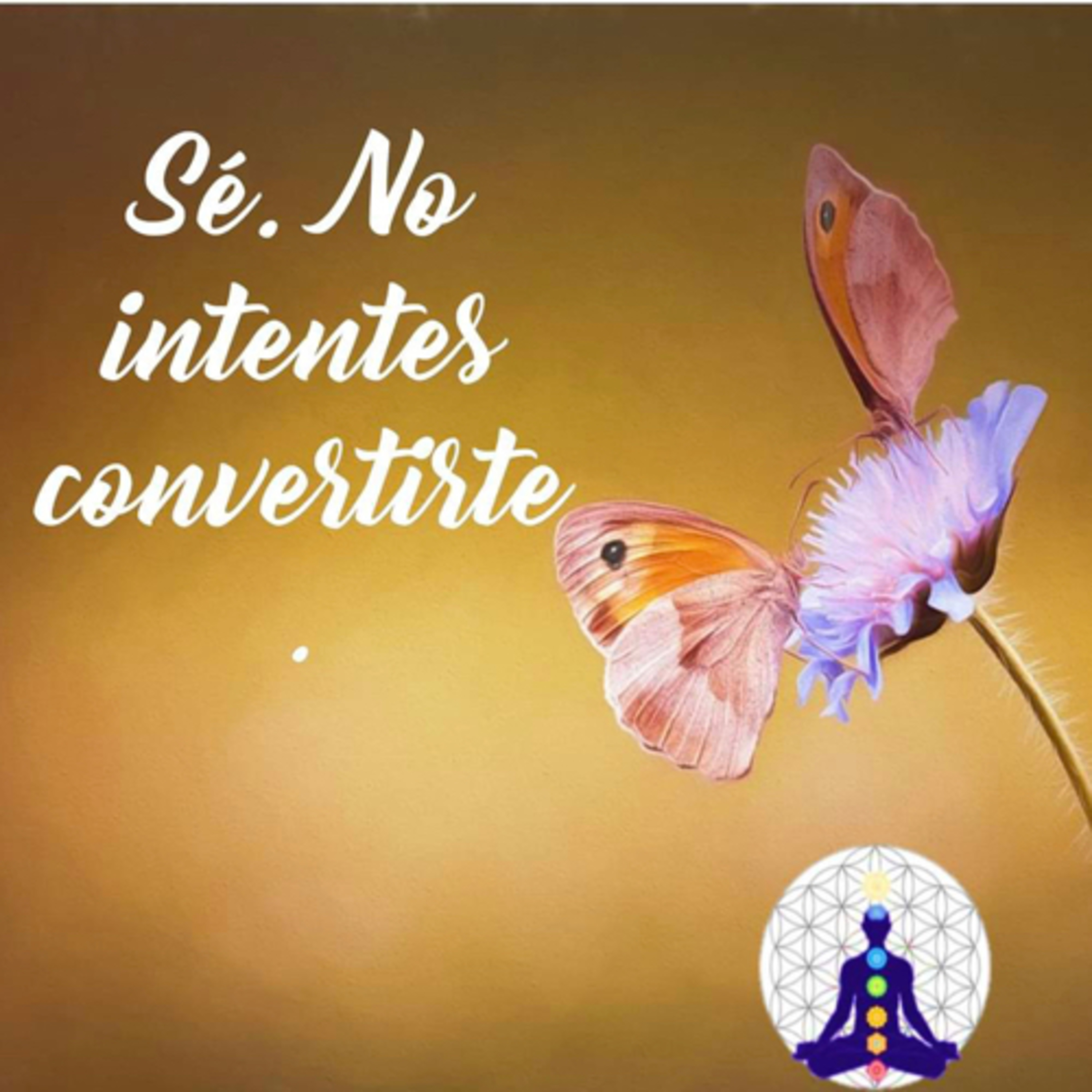 Portada de Intención del día