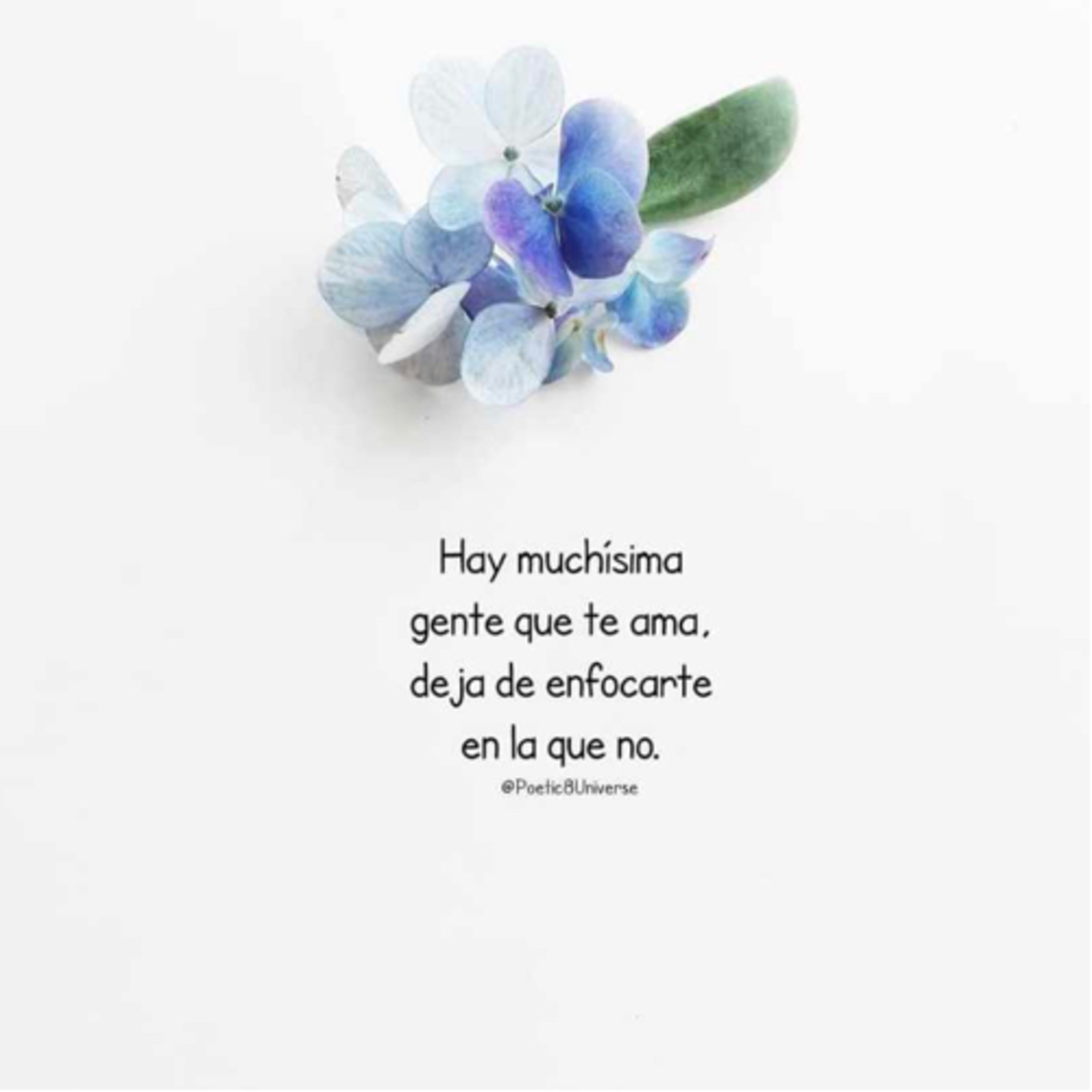 Portada de Intención del día