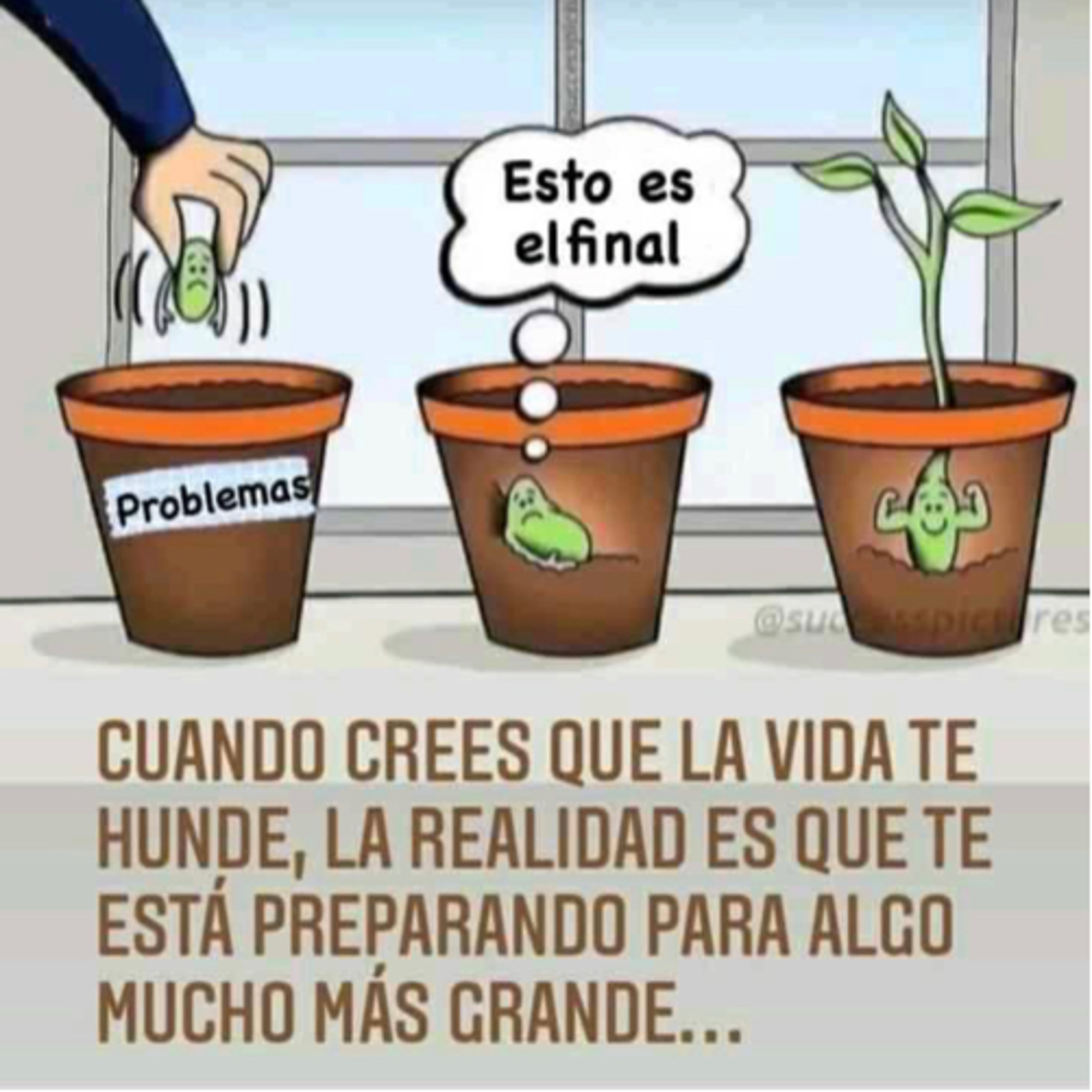 Portada de Intención del día