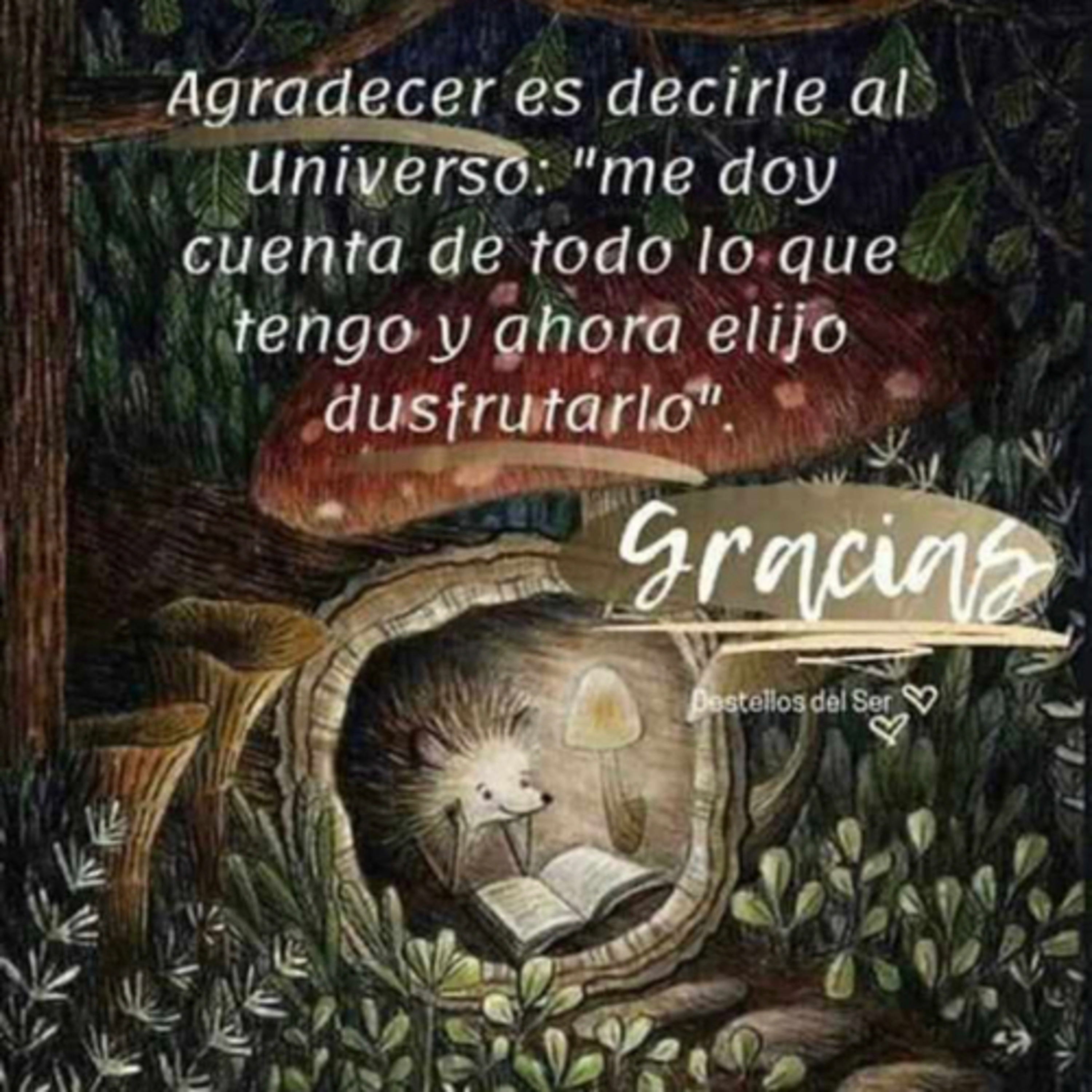 Portada de Intención del día