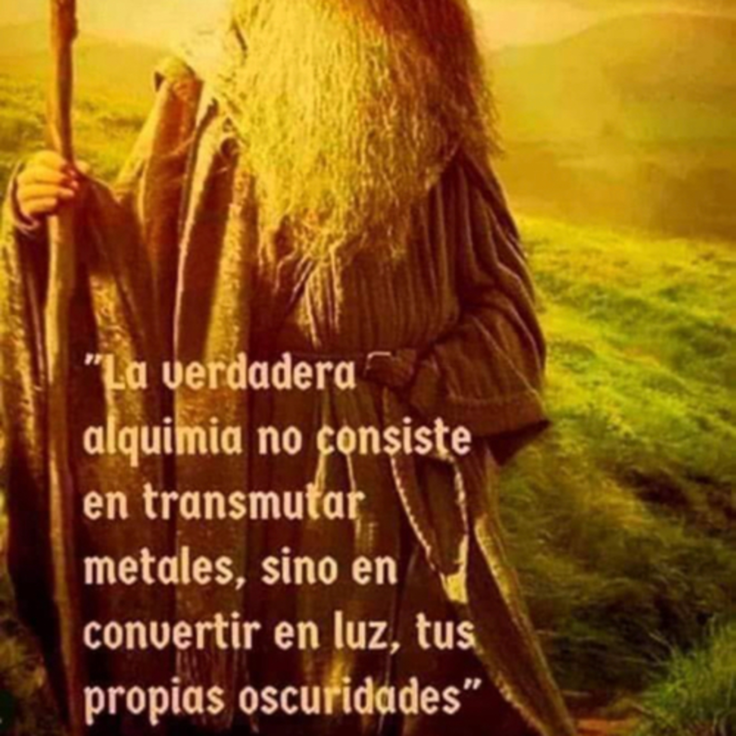 Portada de Intención del día