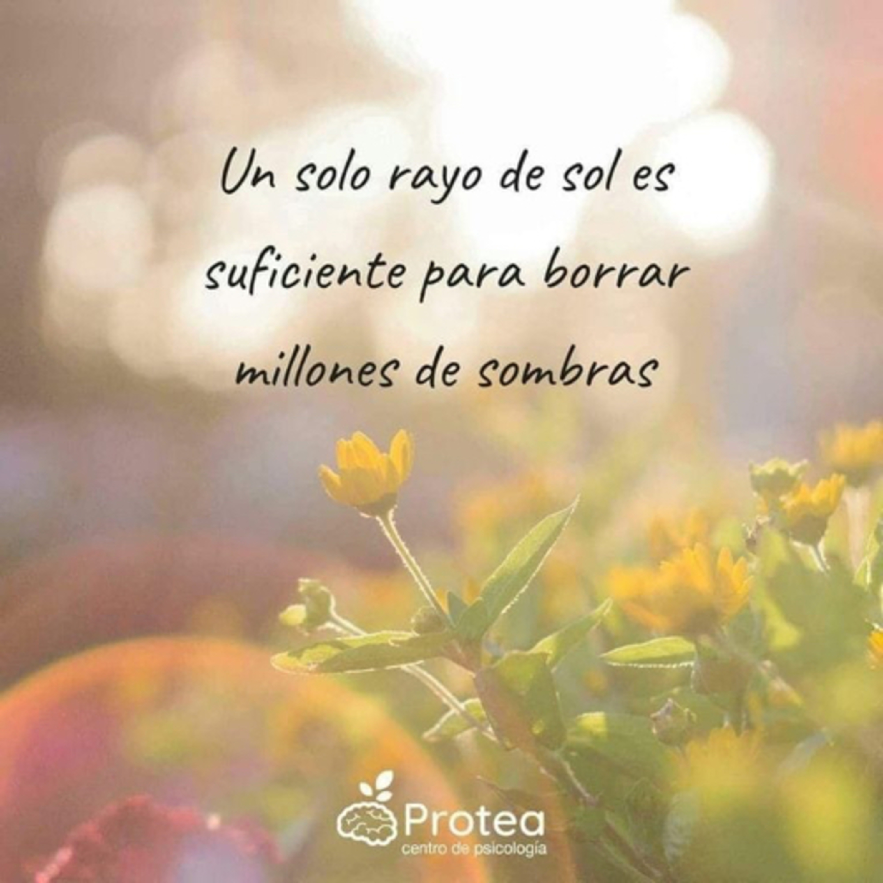 Portada de Intención del día