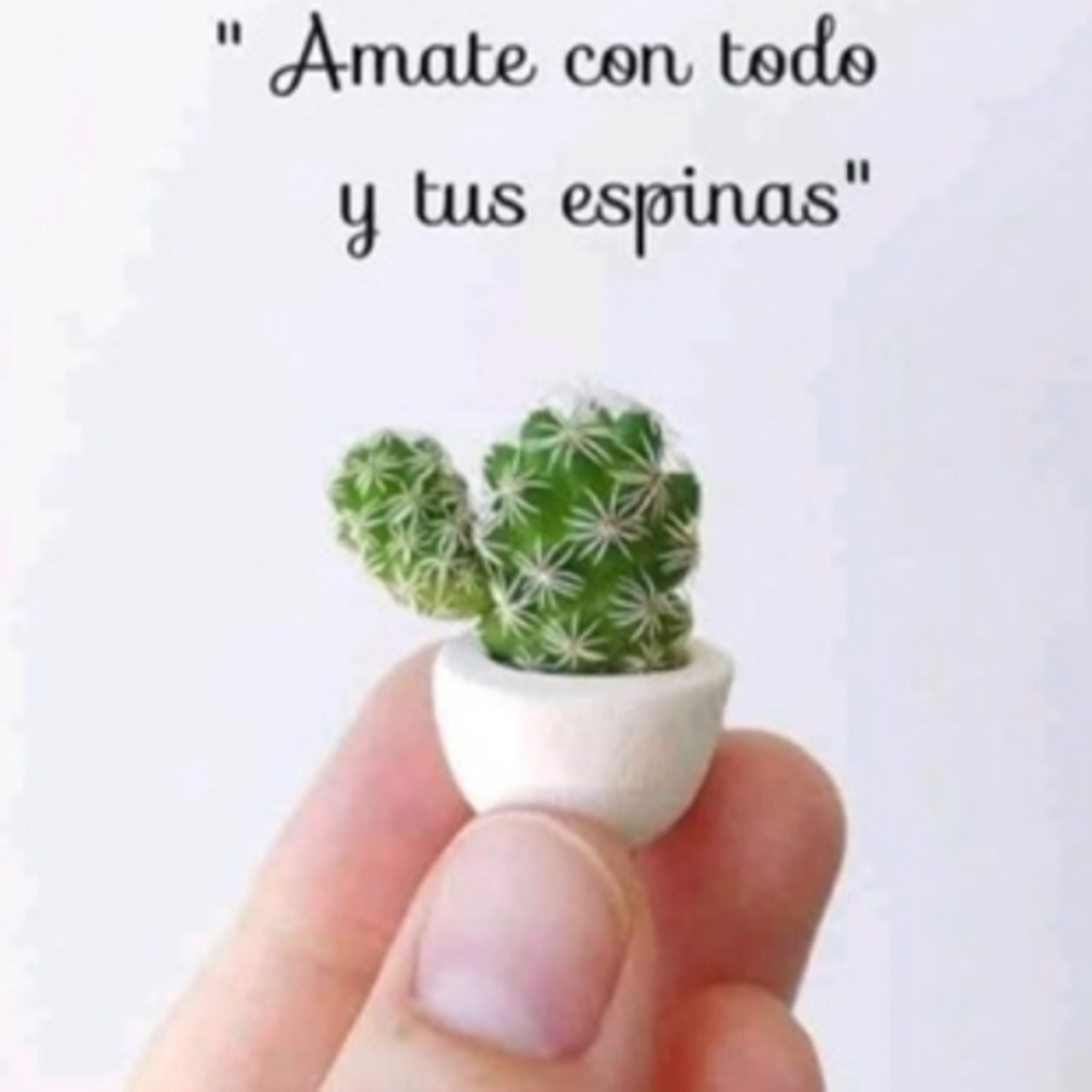 Portada de Intención del día