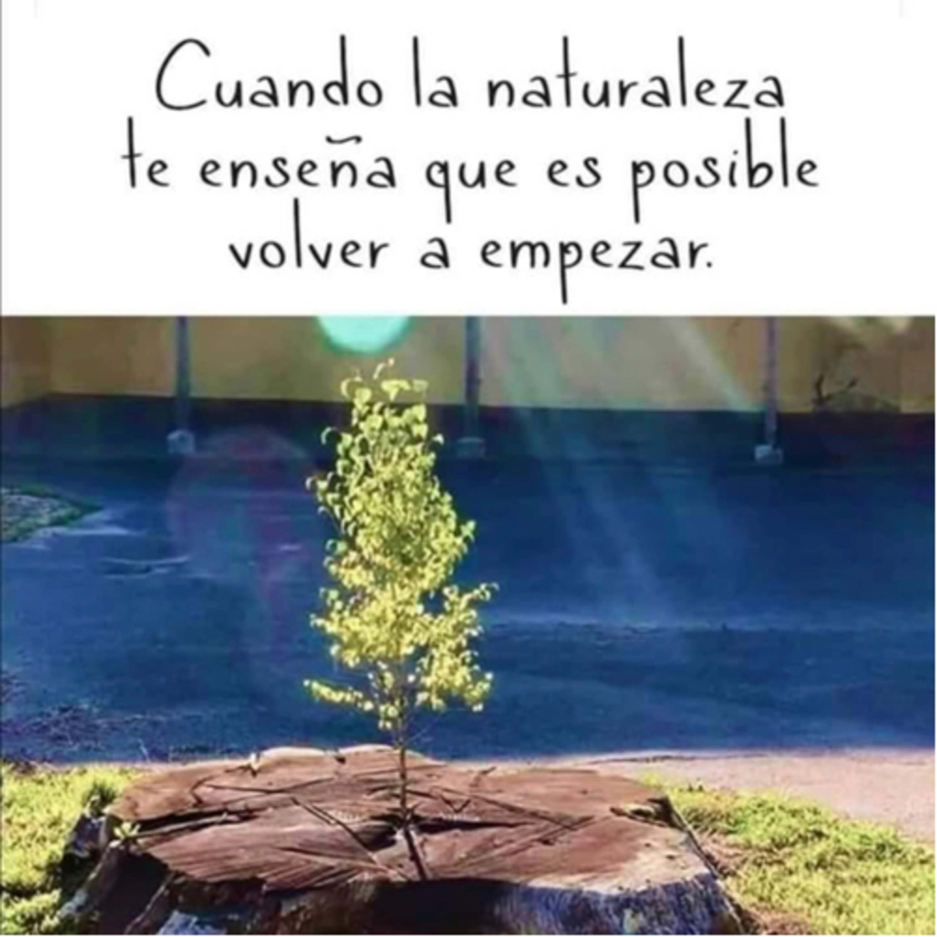 Intención del día