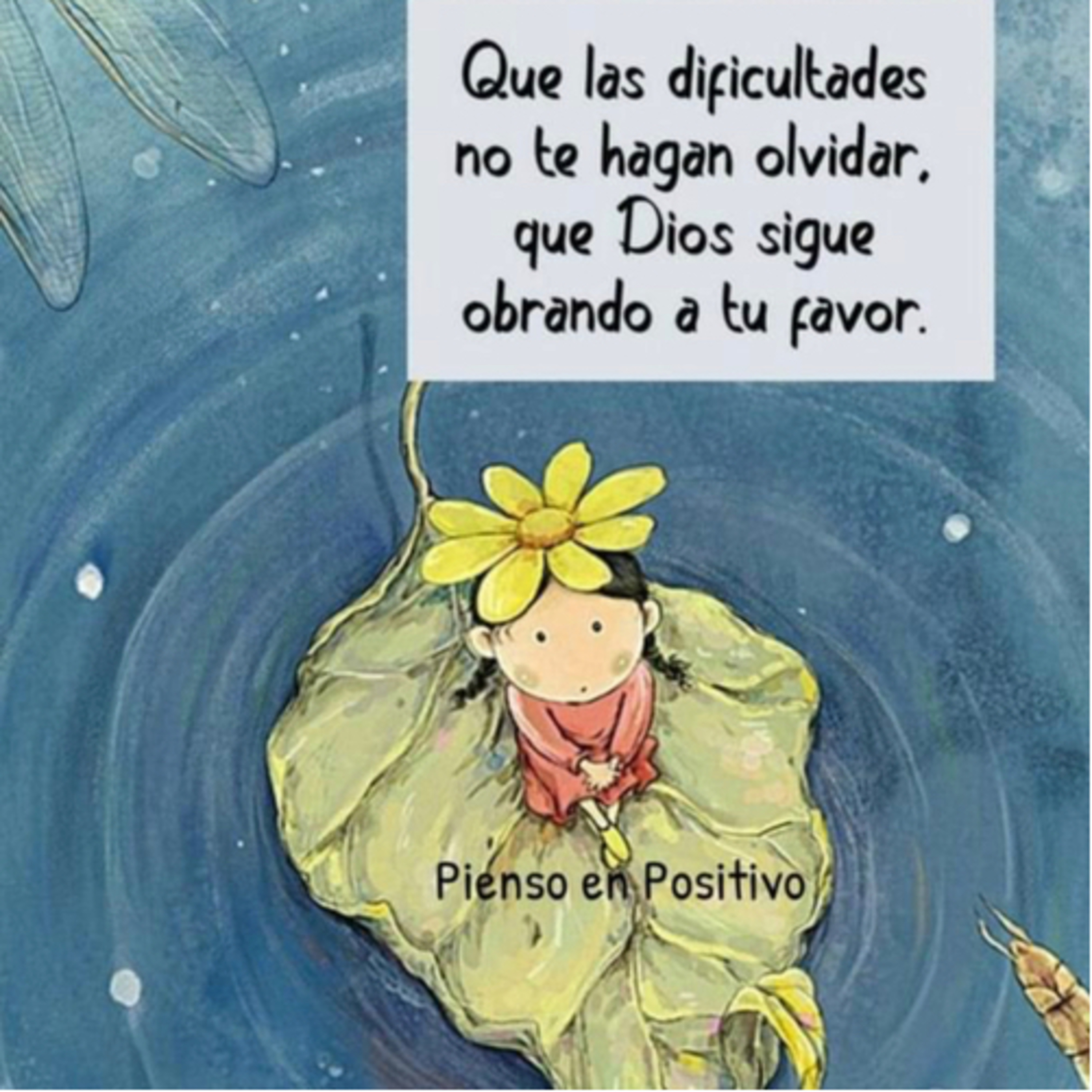 Intención del día