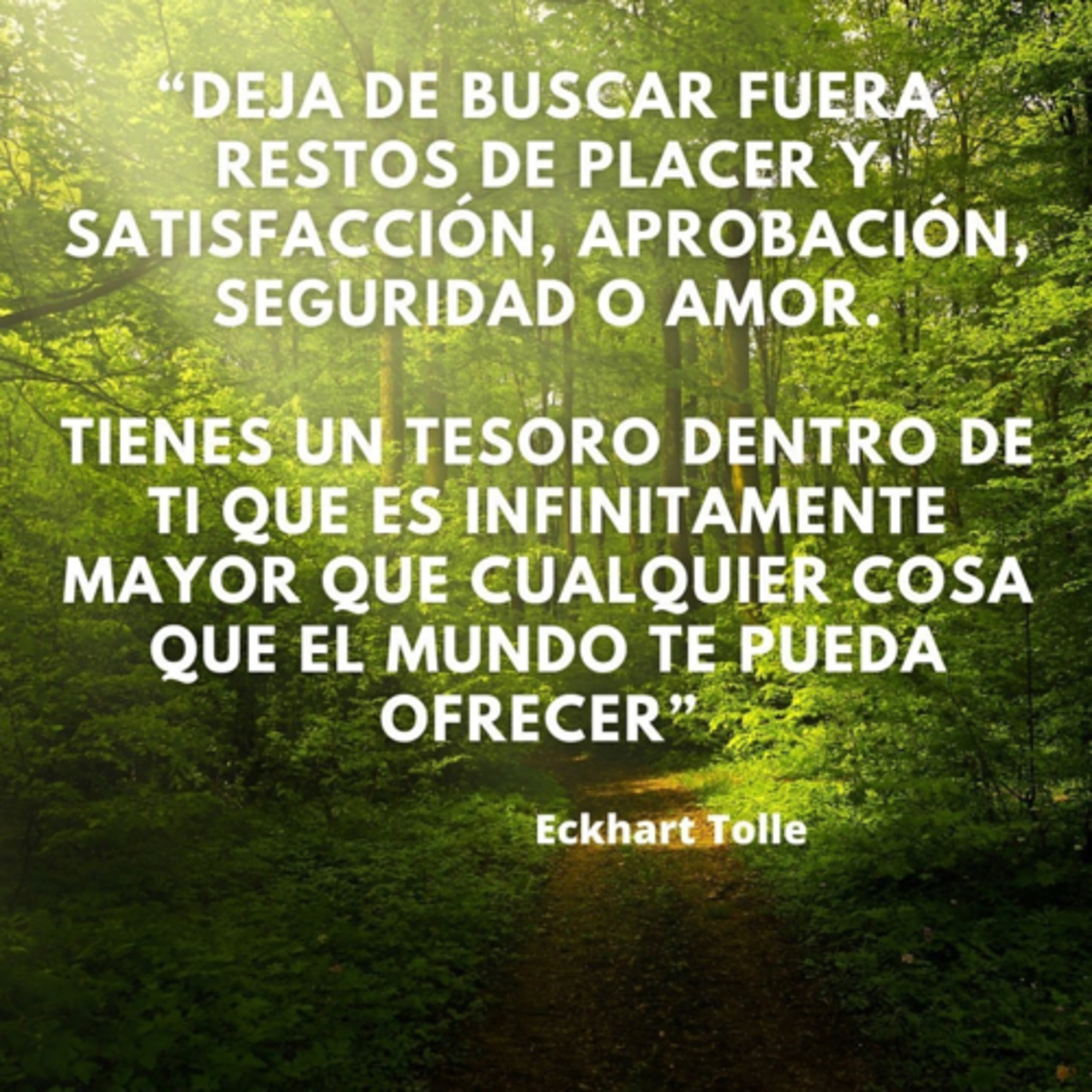 Intención del día