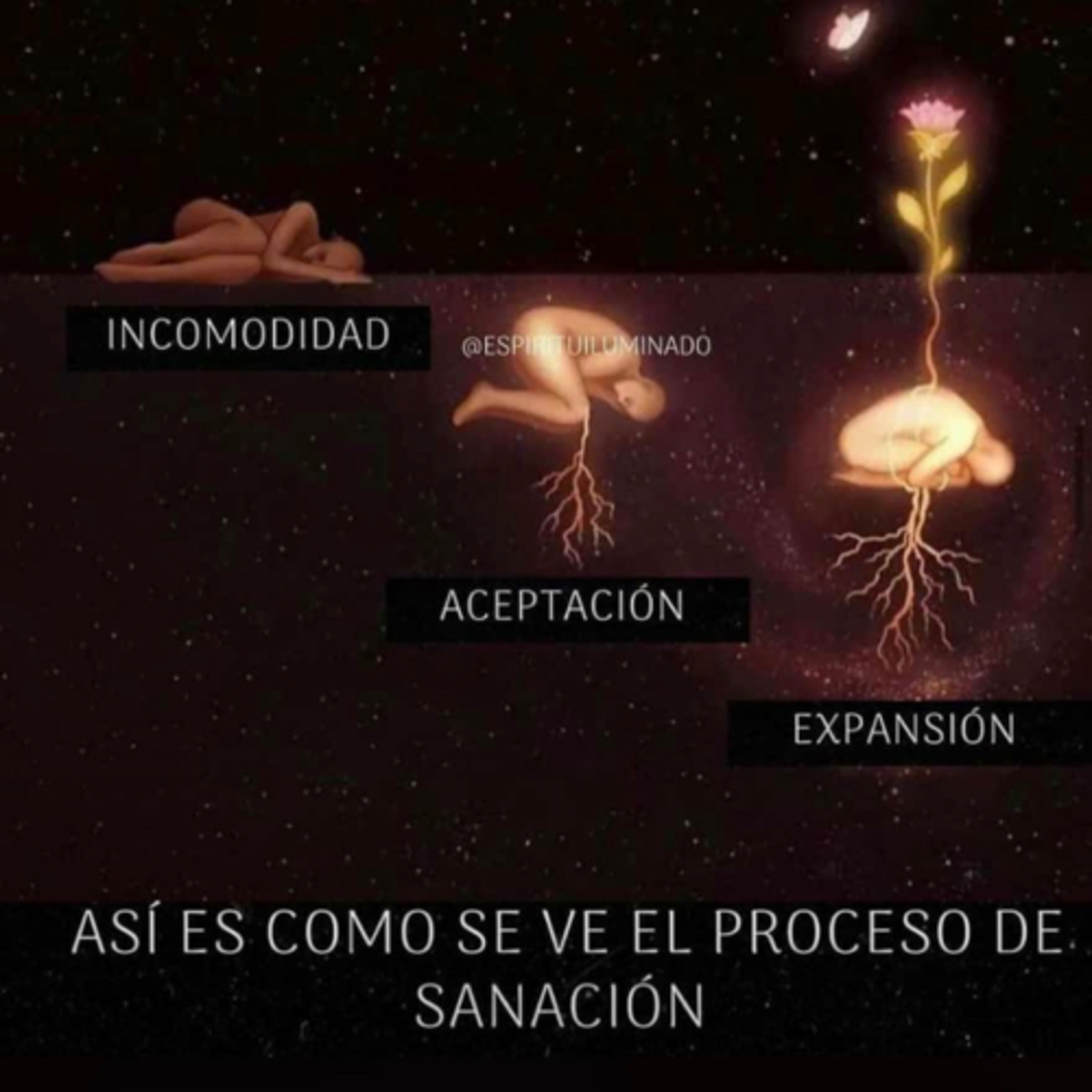 Portada de Intención del día