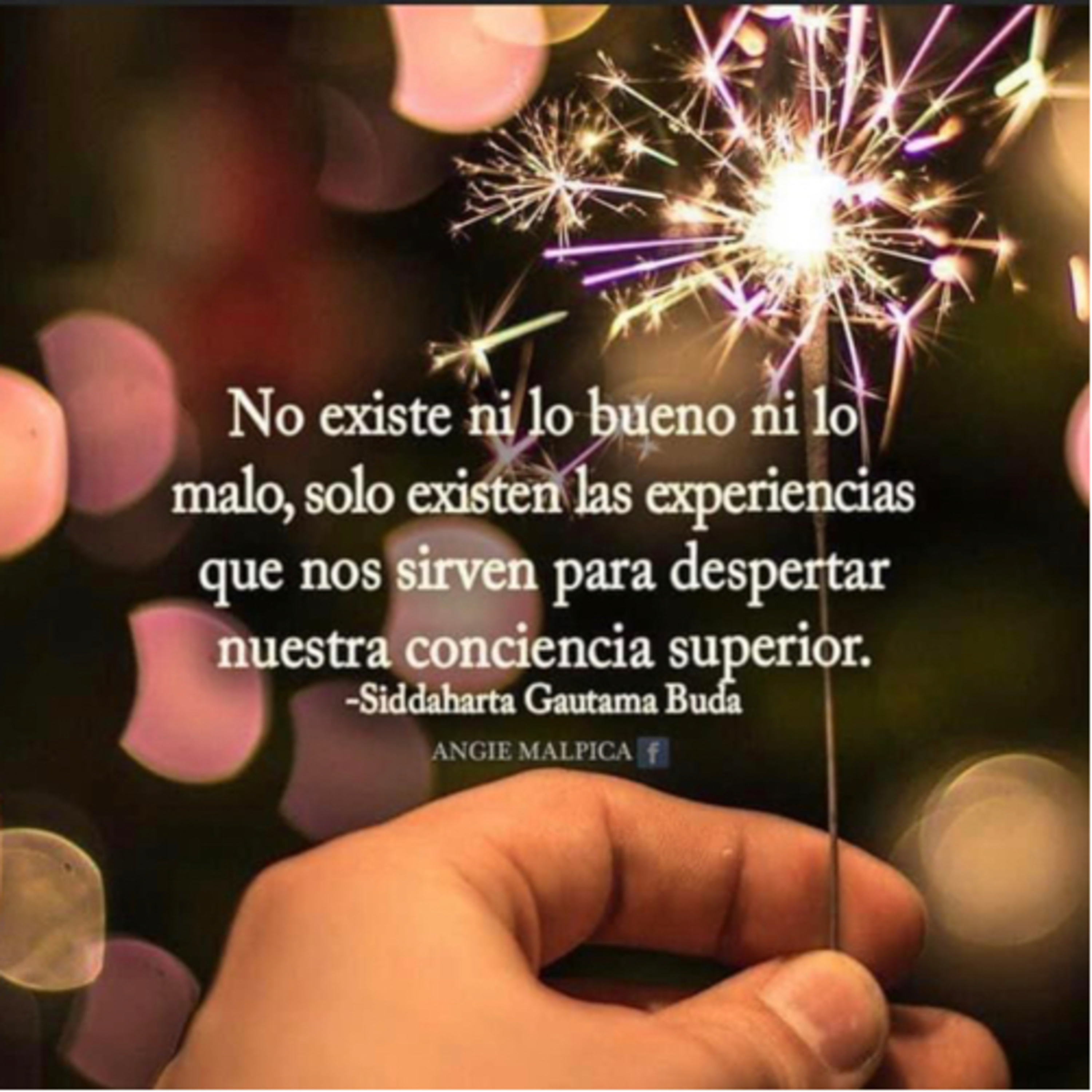 Portada de Intención del día