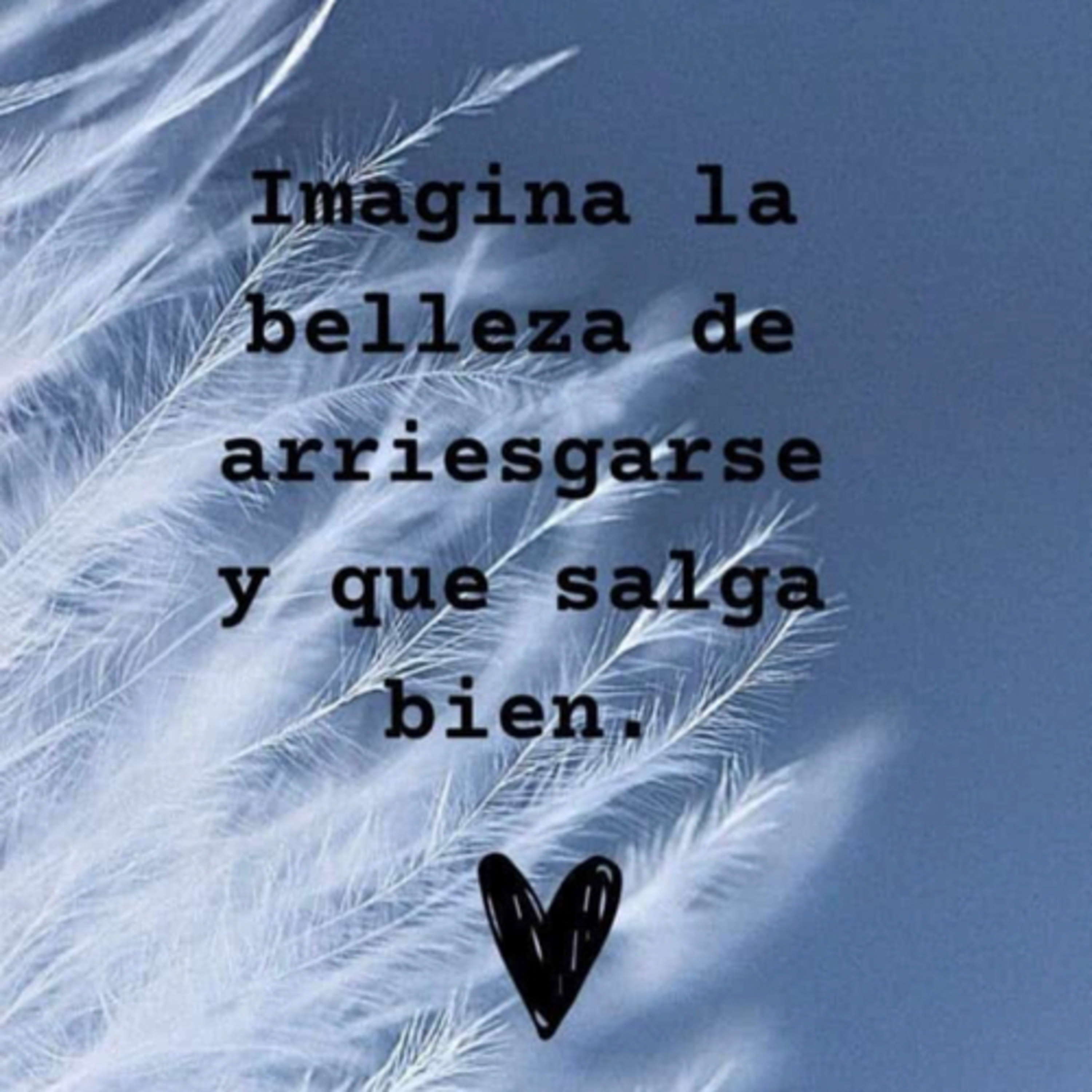 Portada de Intención del día
