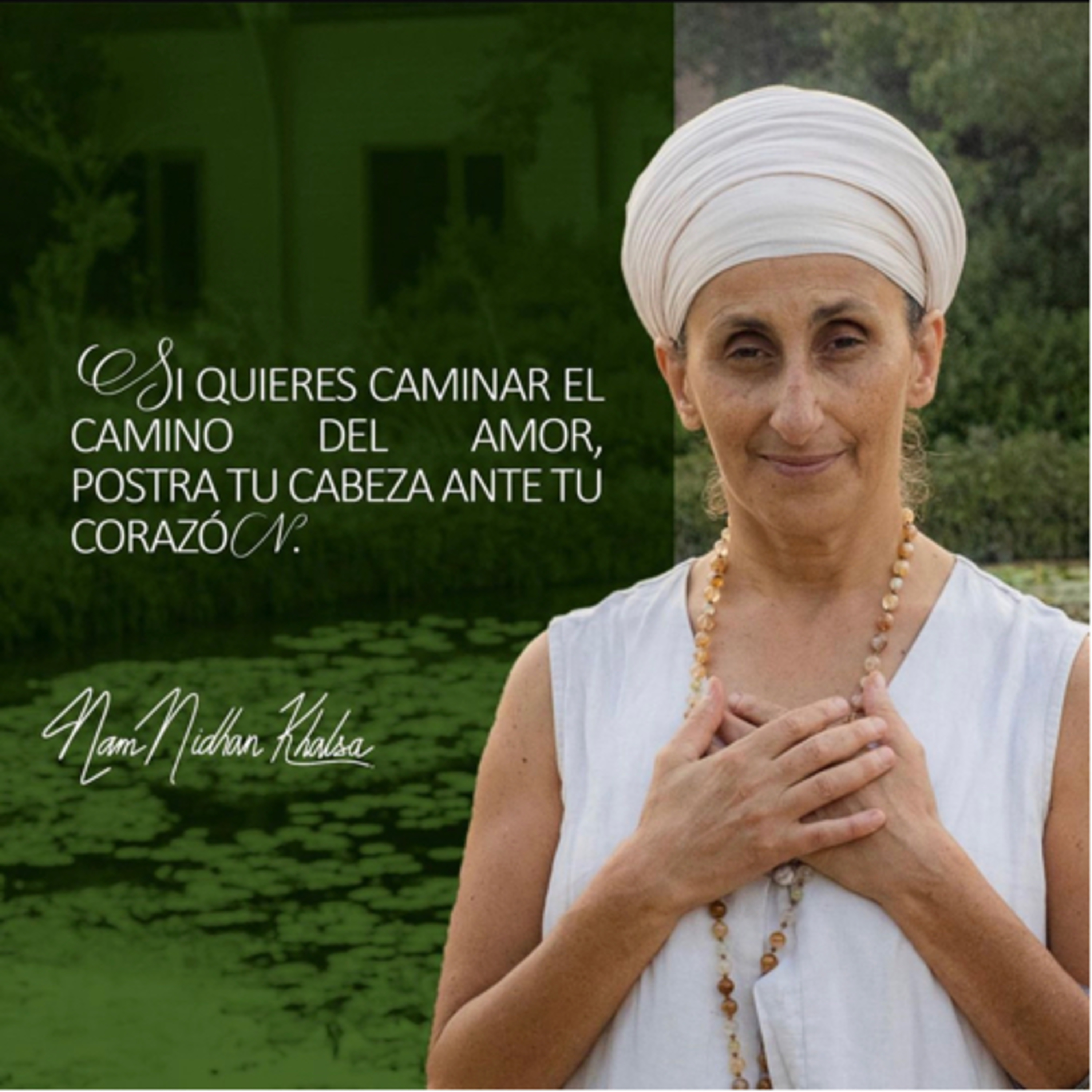Portada de Intención del día