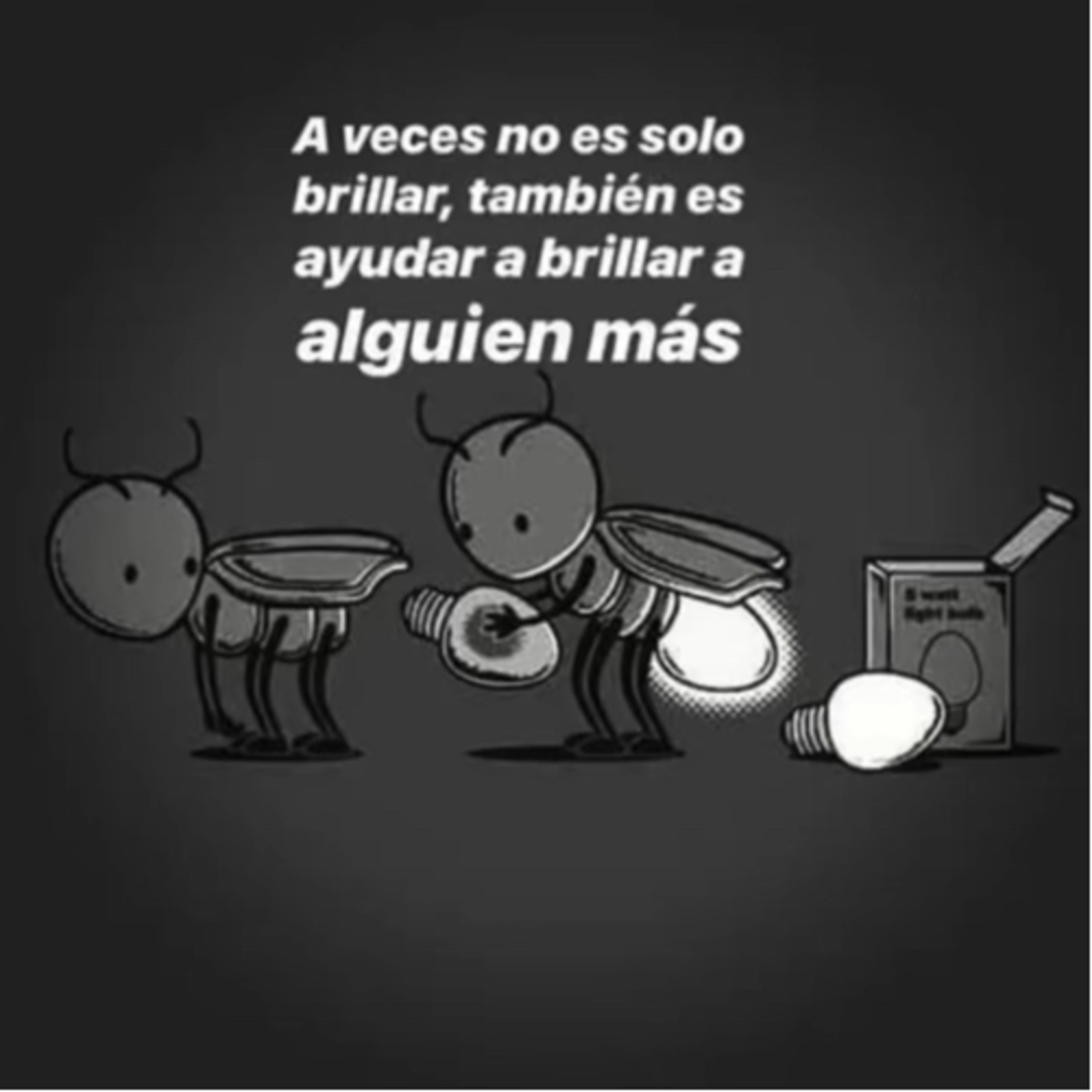 Portada de Intención del día