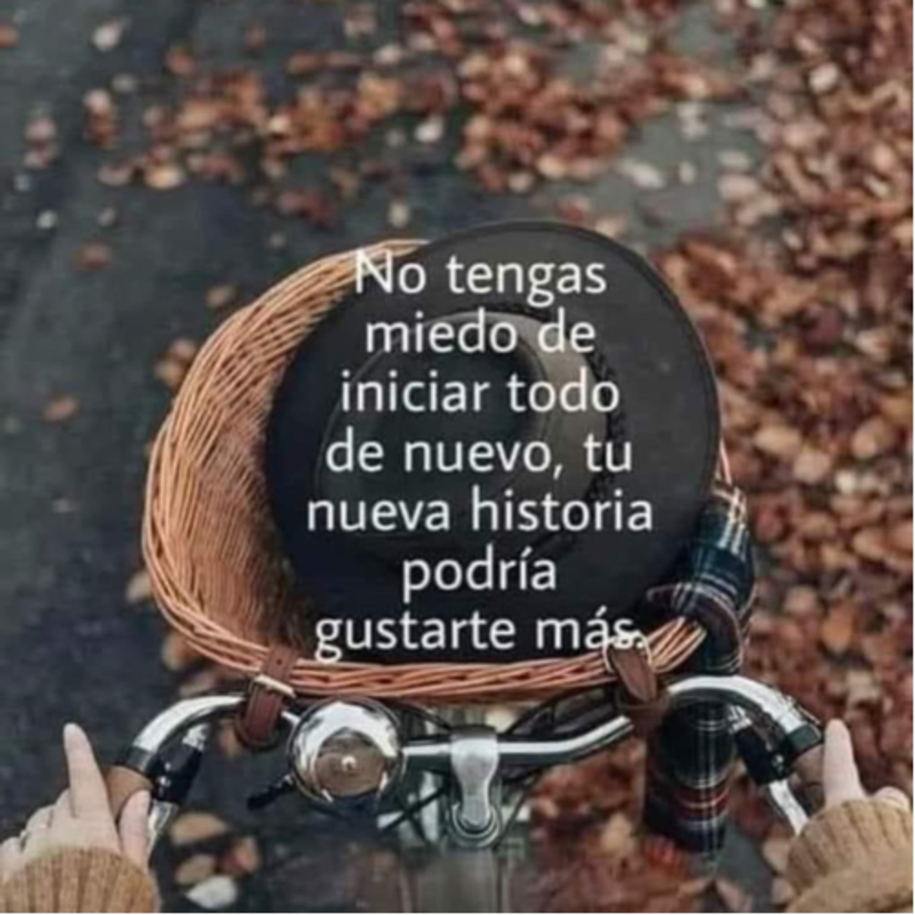 Portada de Intención del día