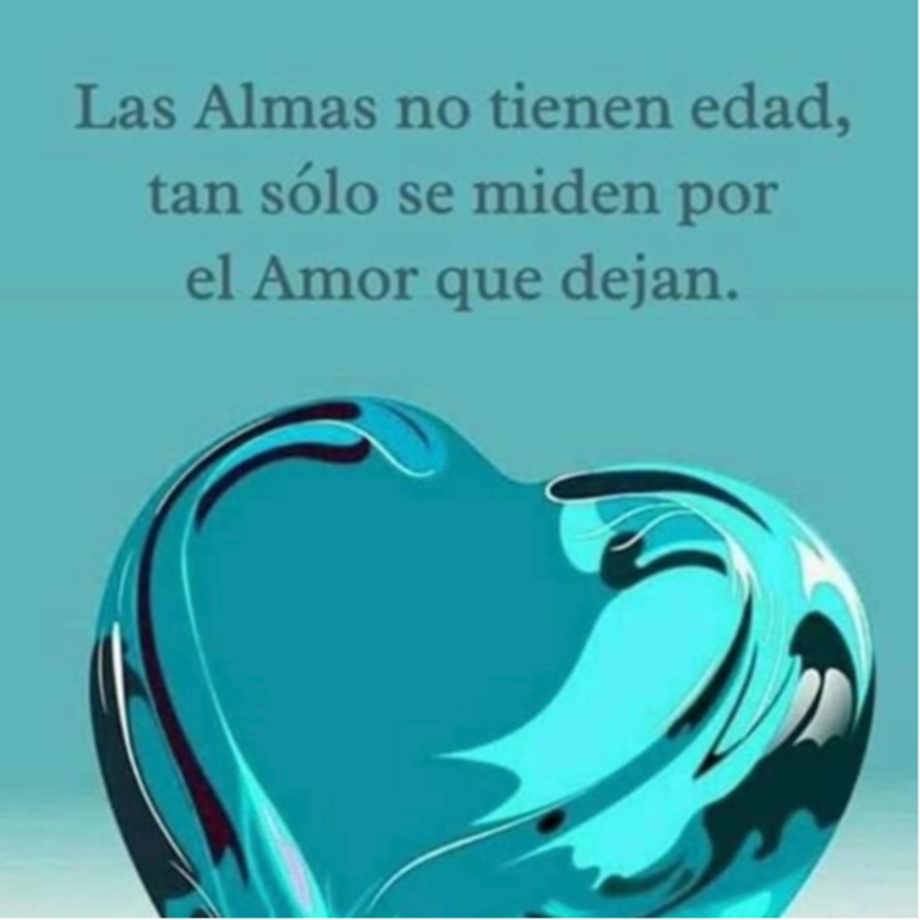 Portada de Intención del día