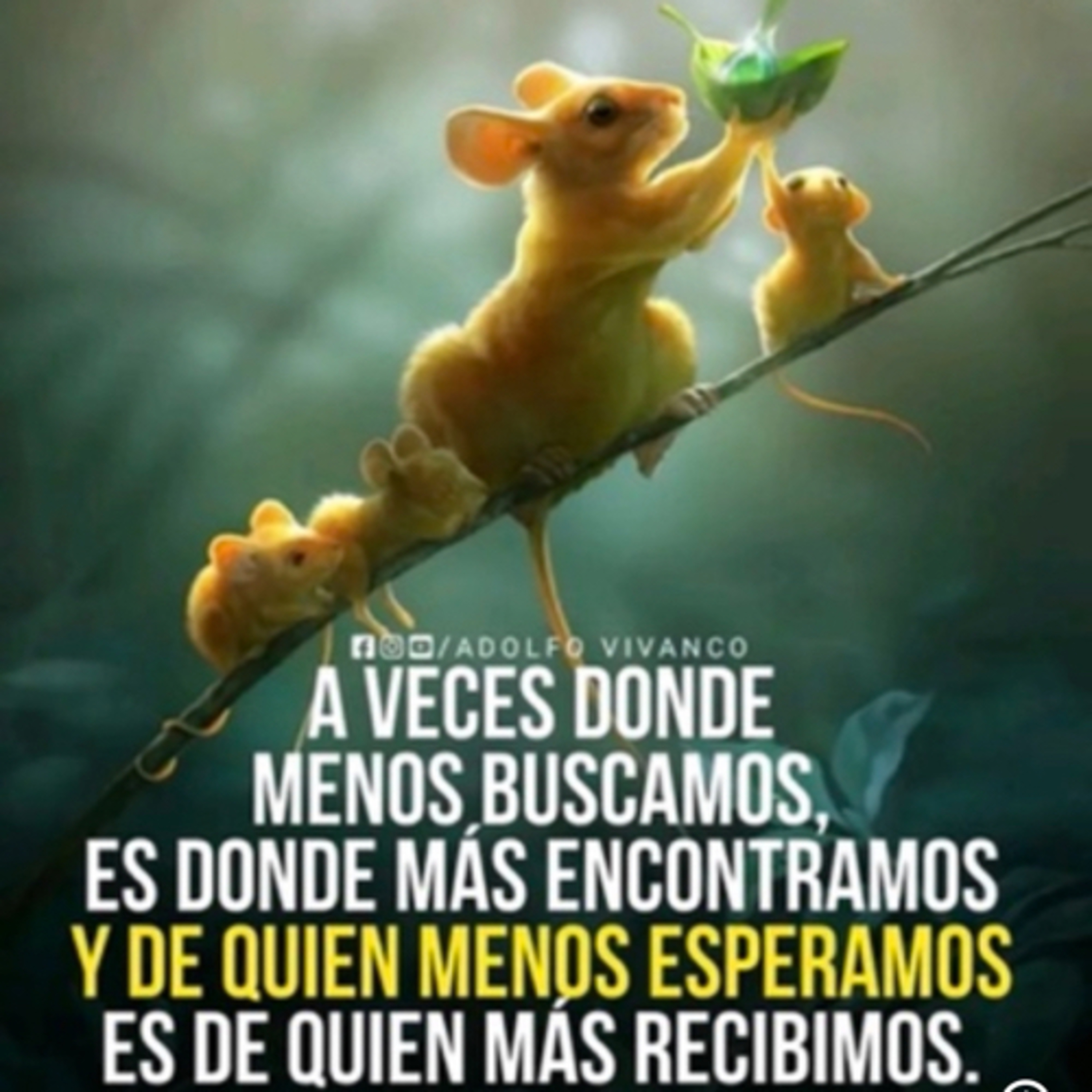 Portada de Intención del día