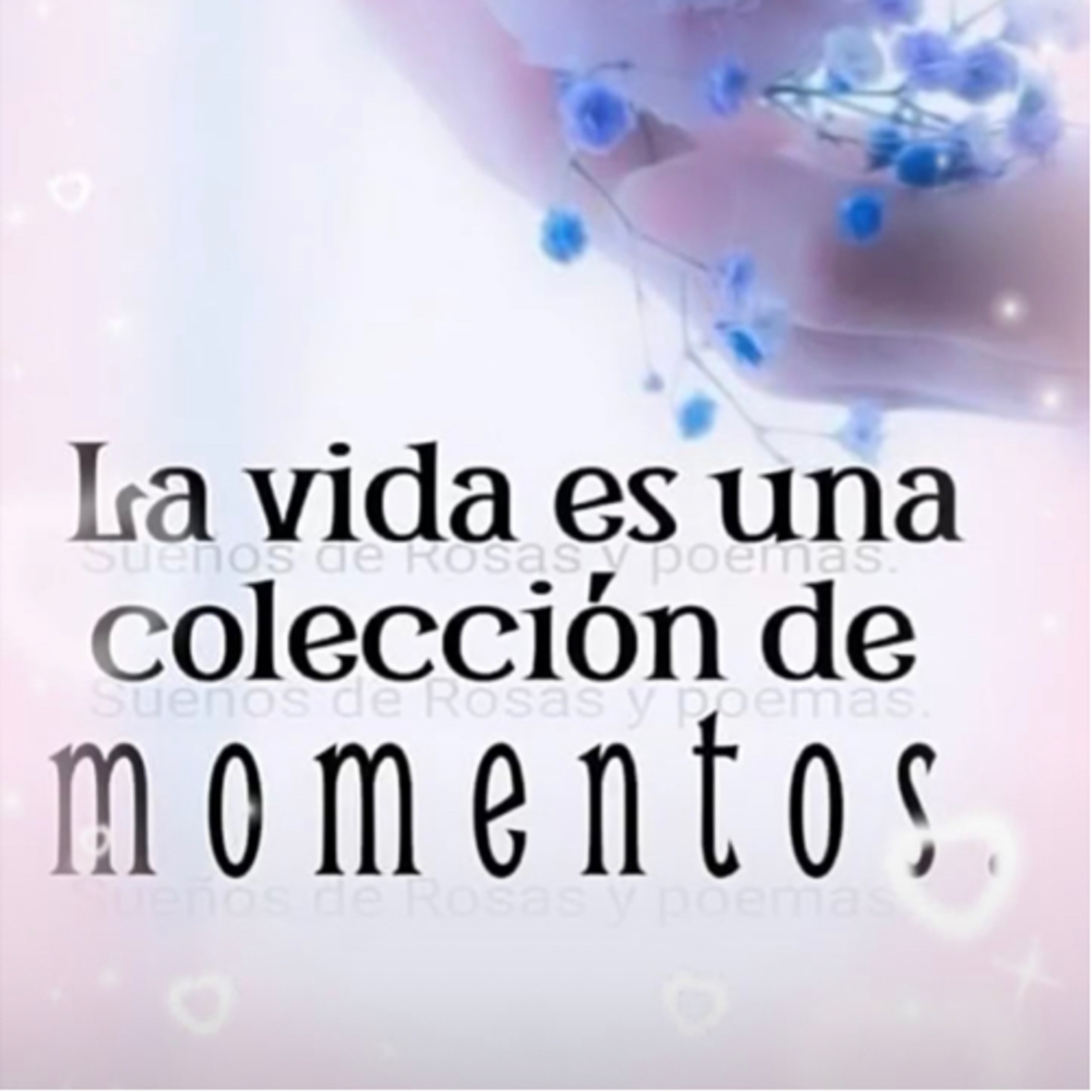 Intención lunes 28 ag episode artwork