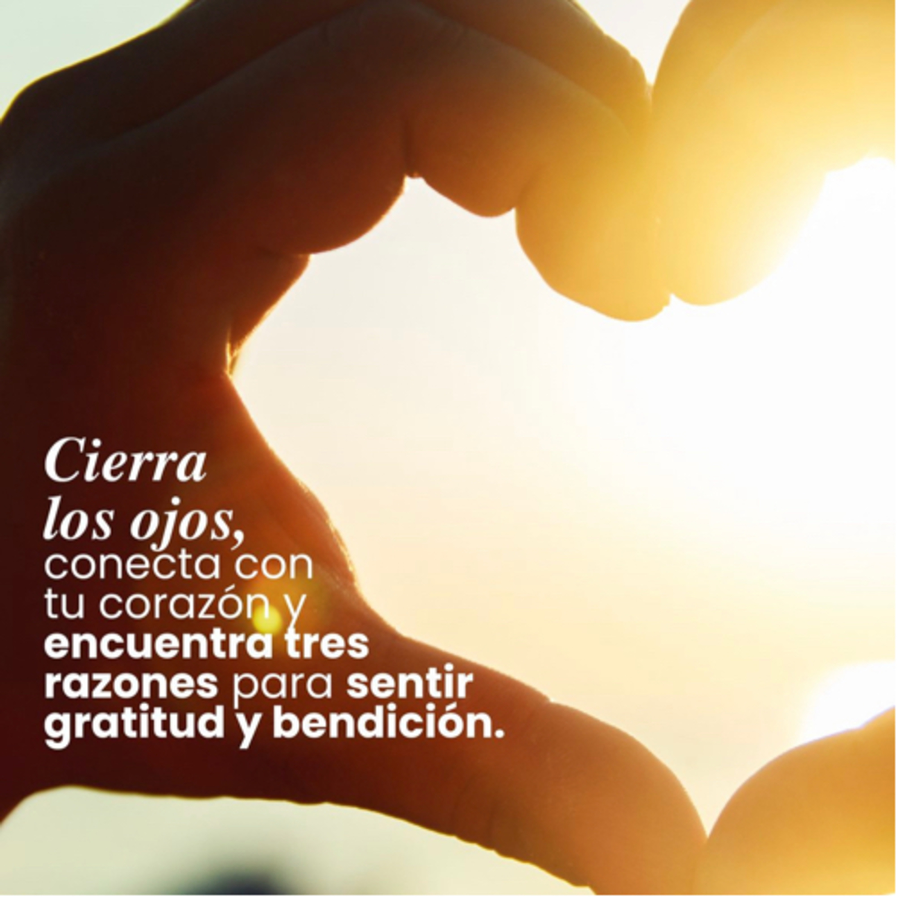 Intención miércoles 1 nov episode artwork