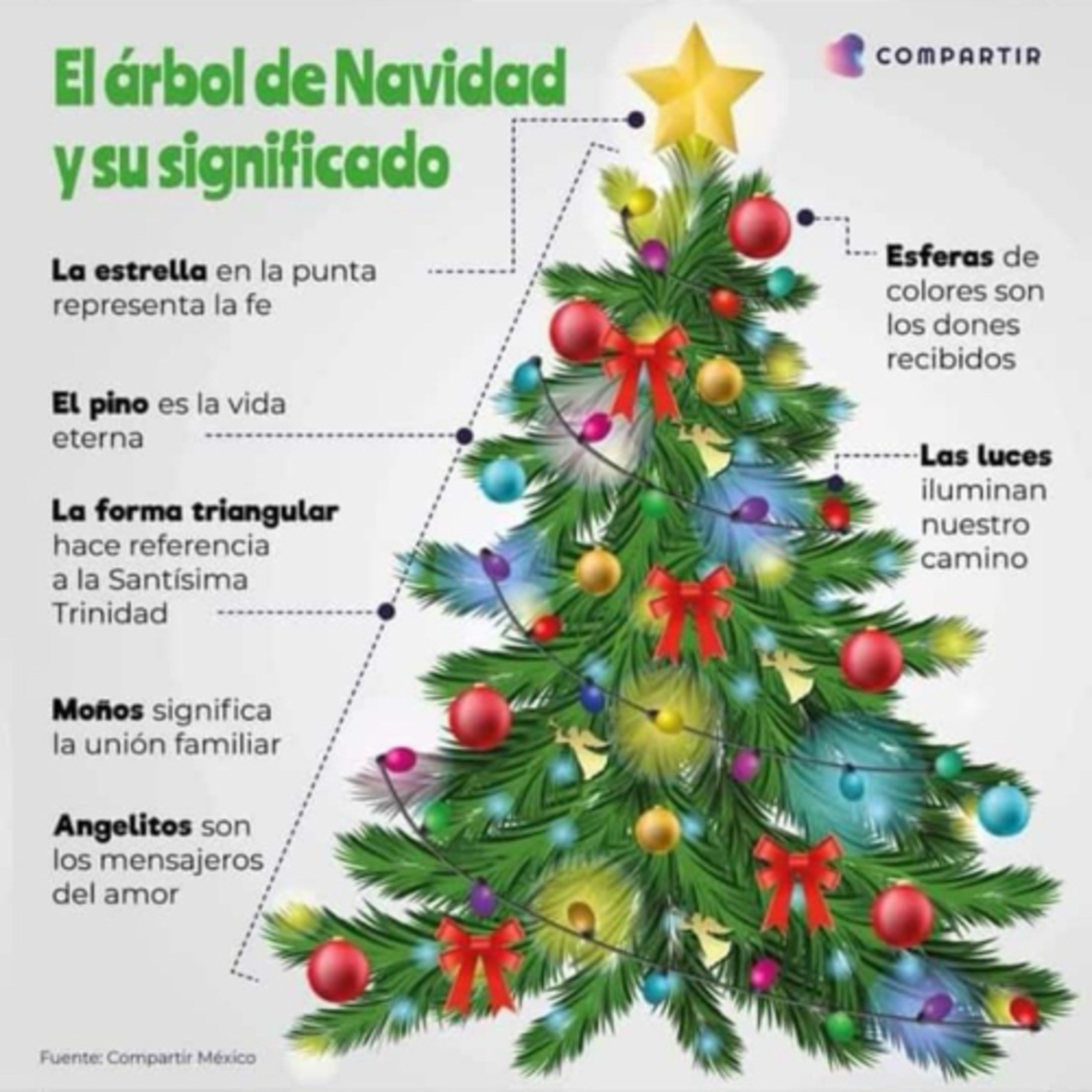 Intención domingo 24 dic episode artwork