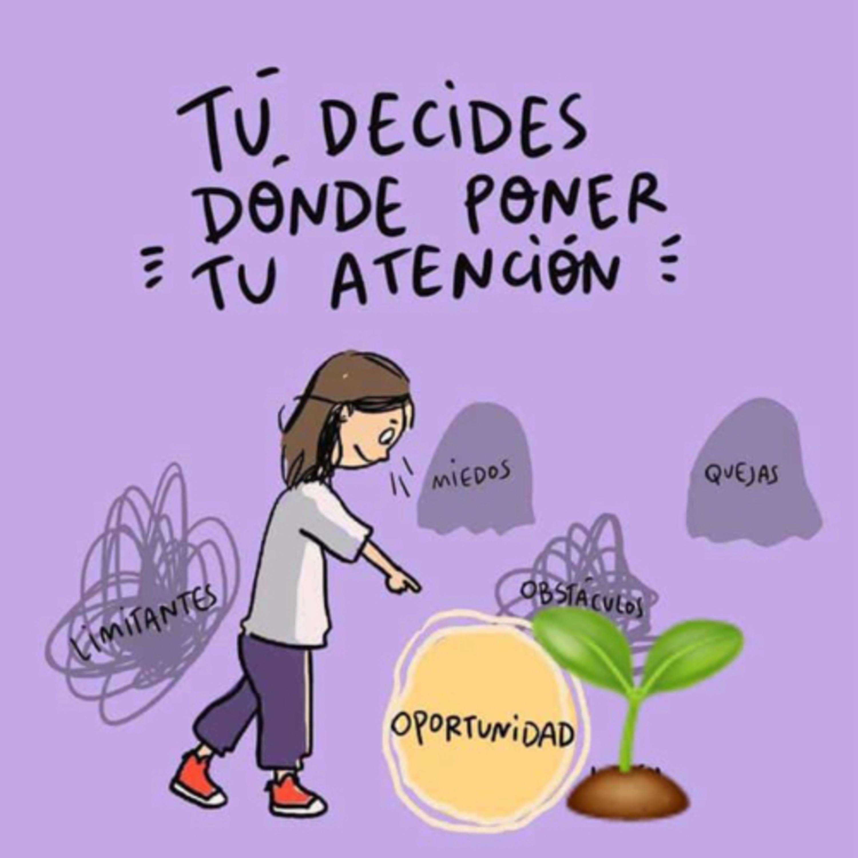 Intención domingo 19 may episode artwork