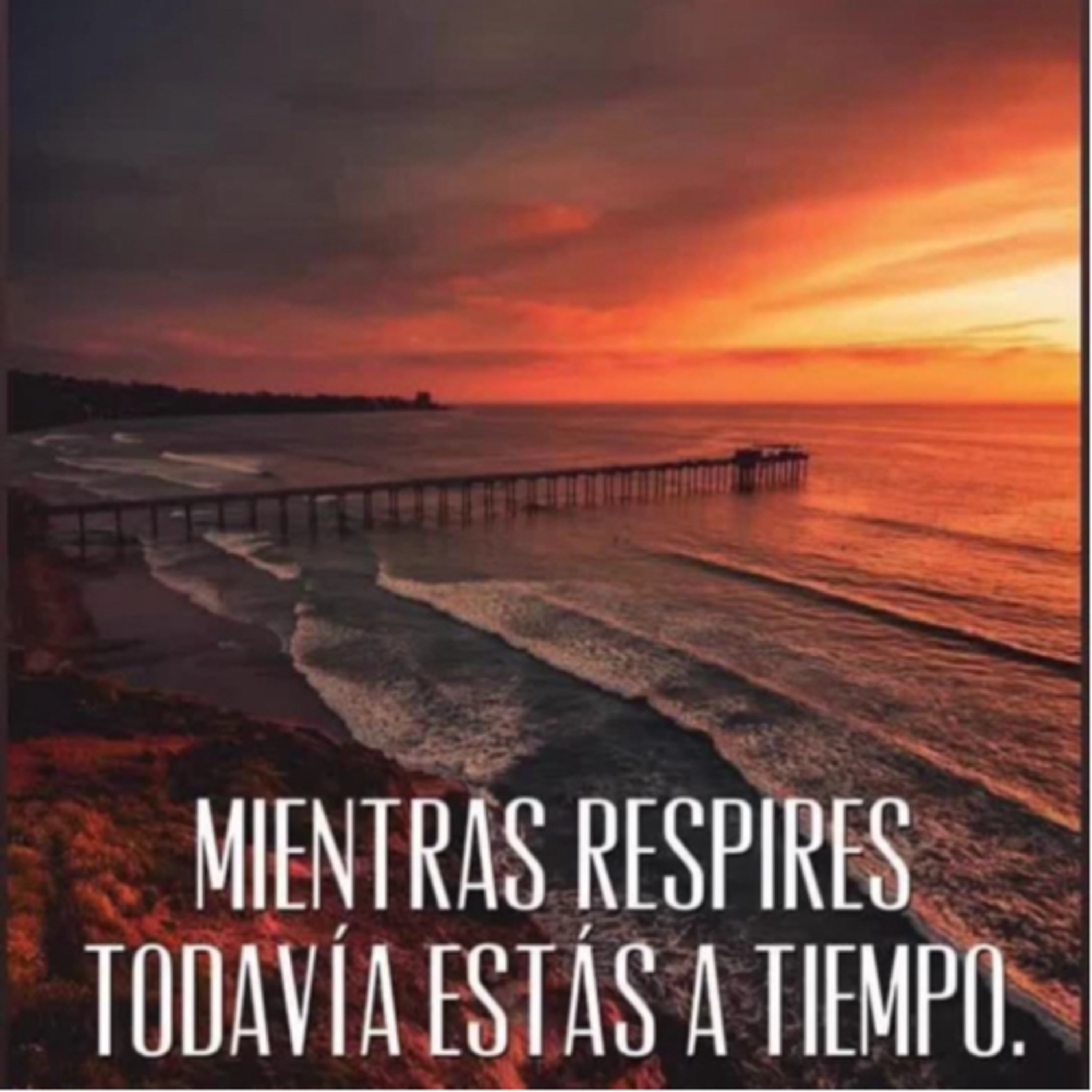 Intención martes 16 jul episode artwork