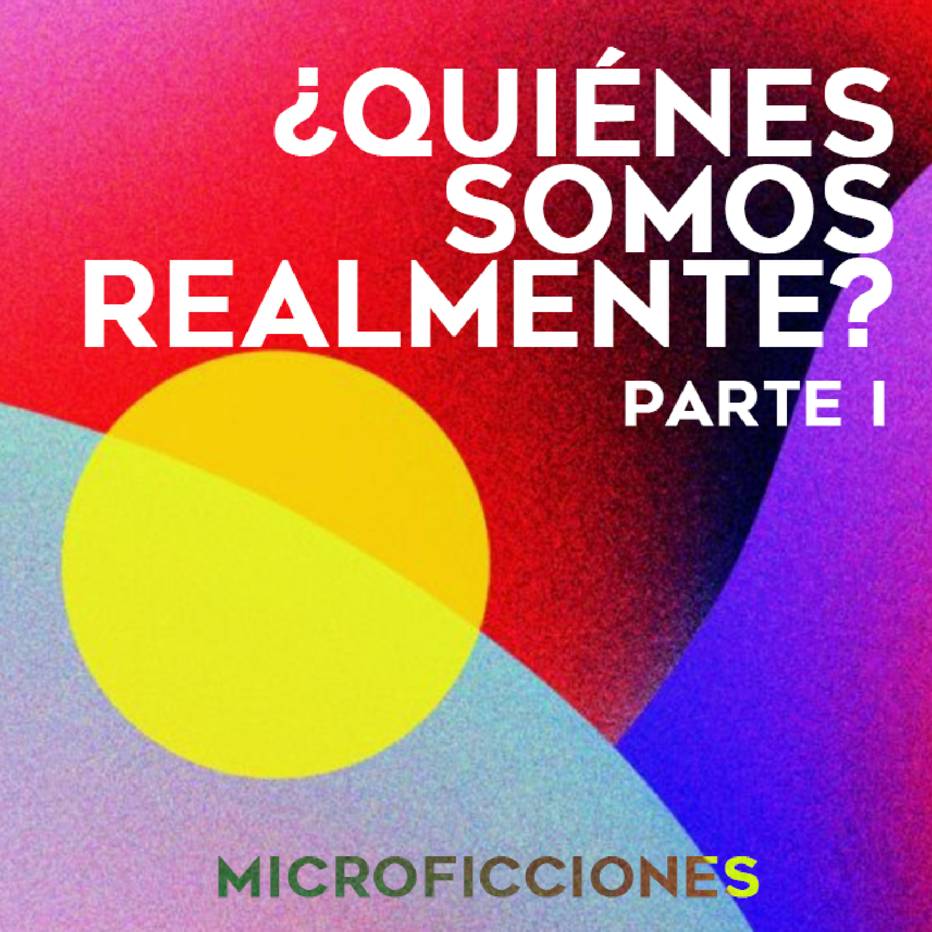 Metaconsciencia
