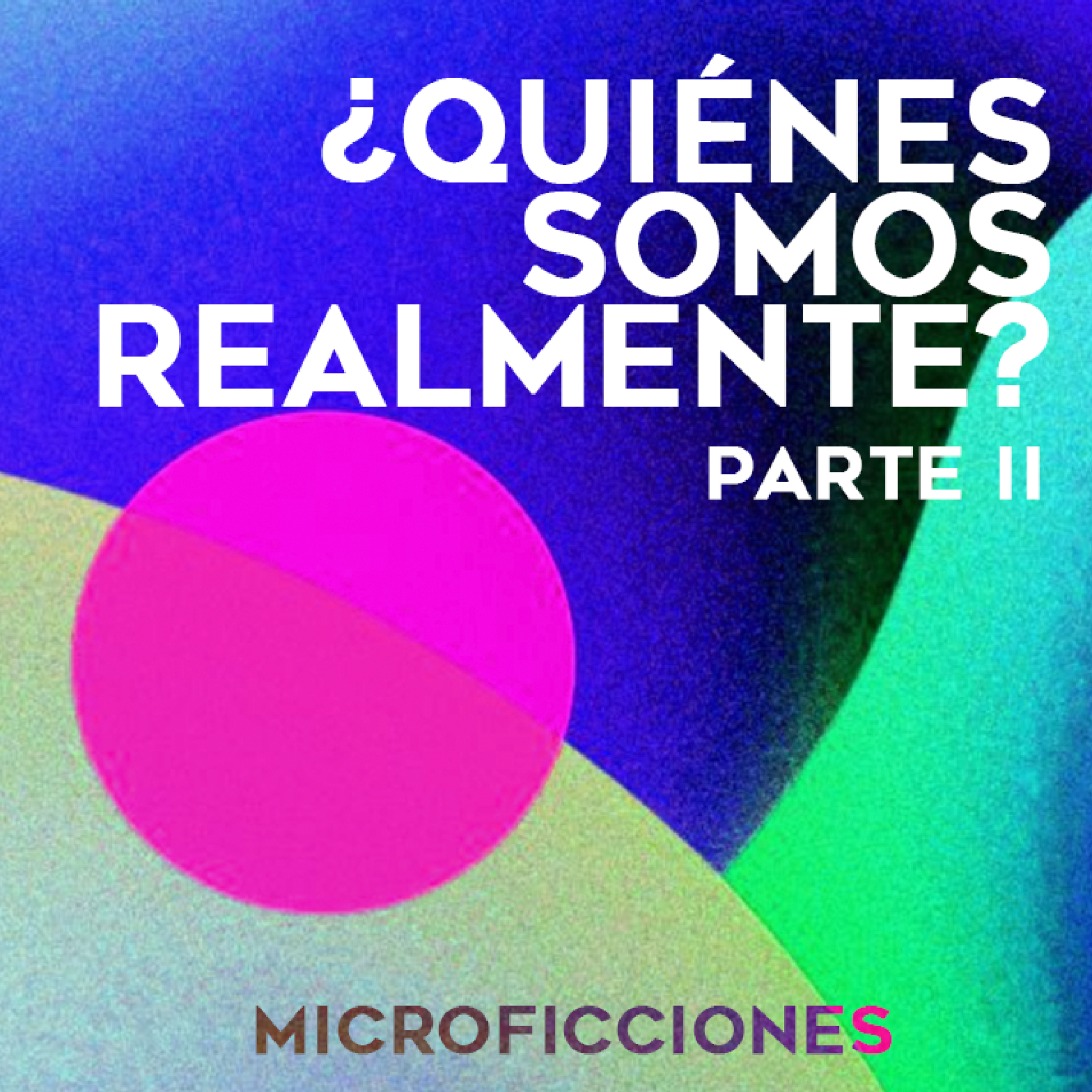 Metaconsciencia