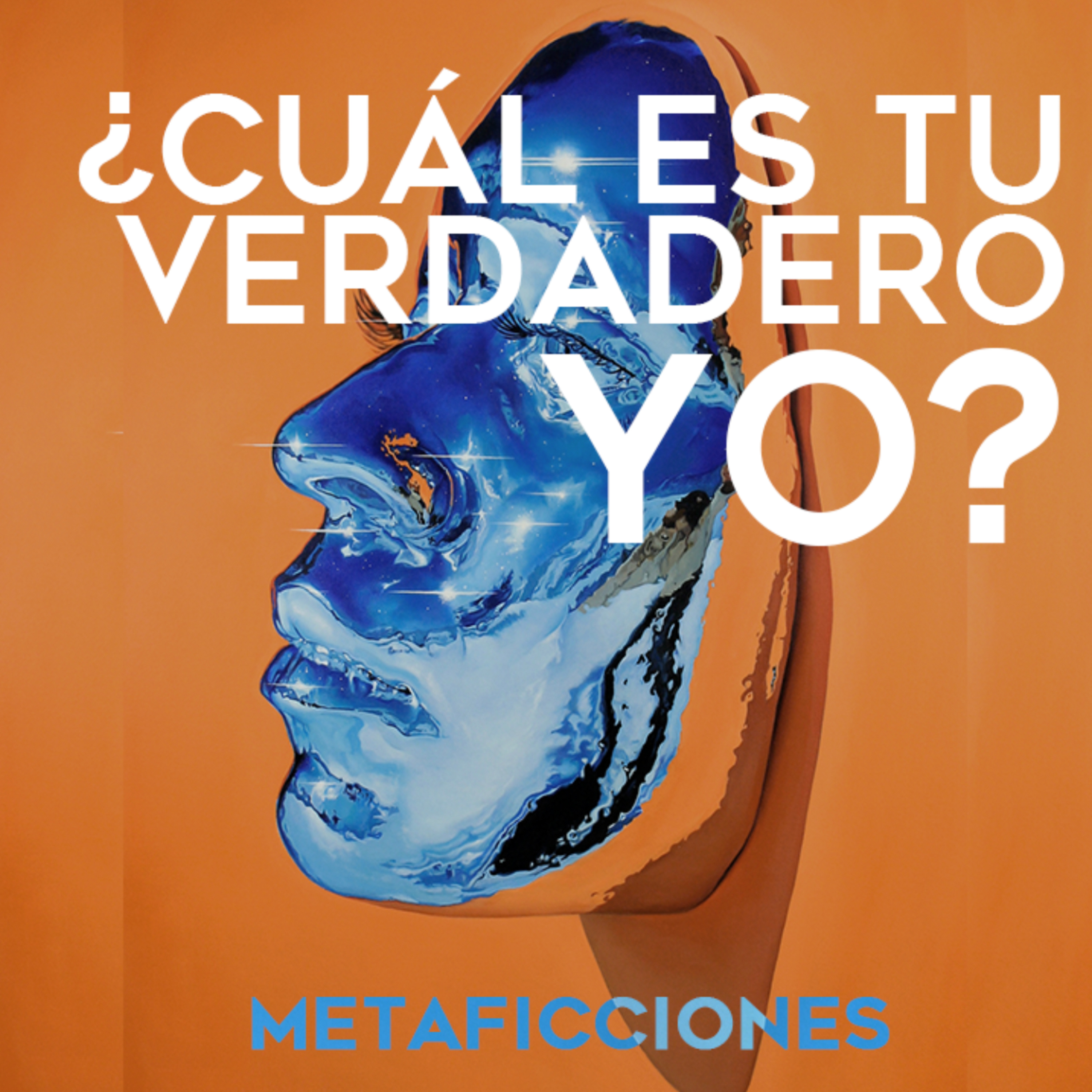 Metaconsciencia