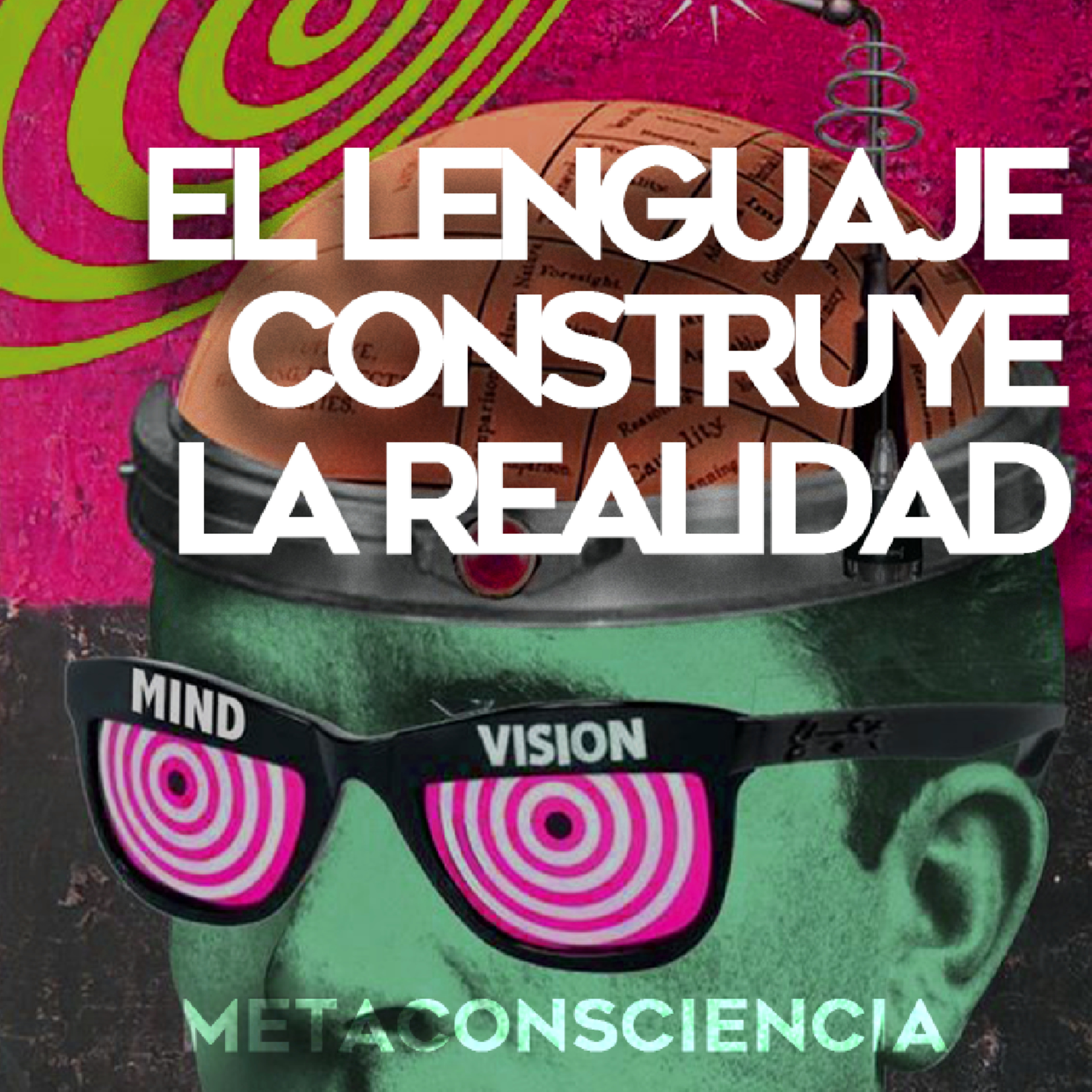 Metaconsciencia