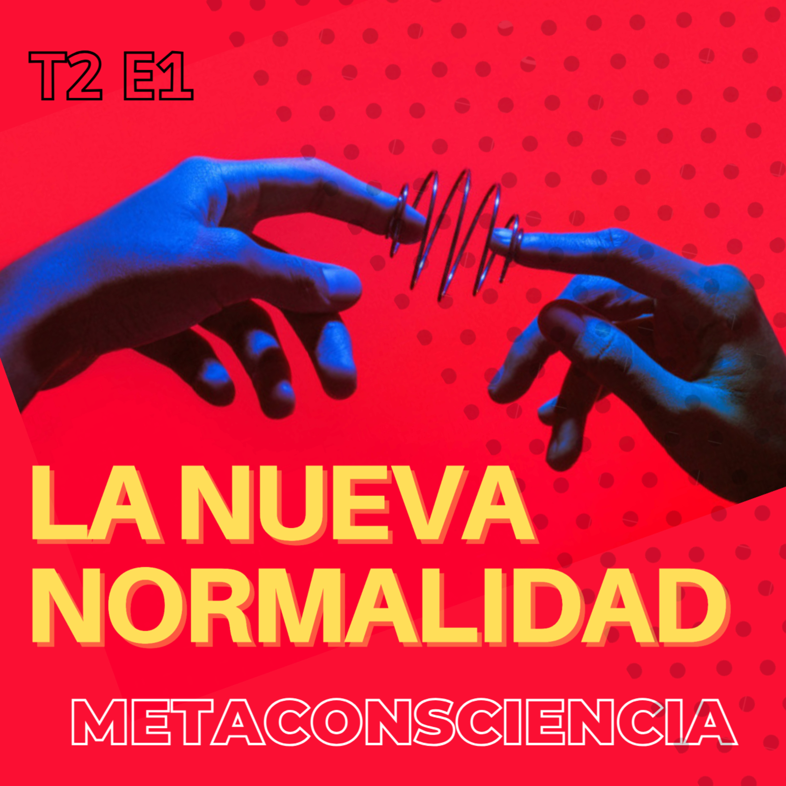 Metaconsciencia