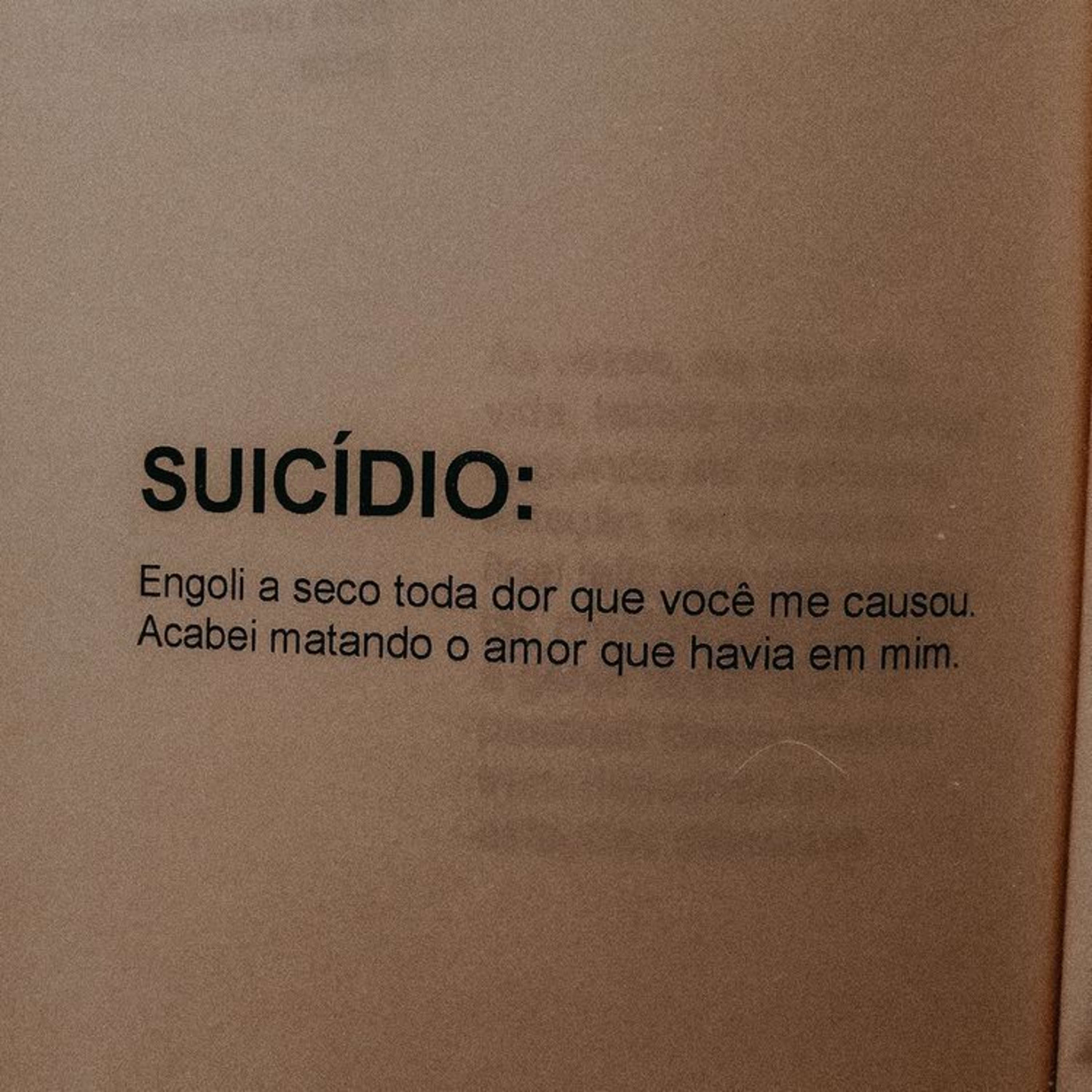 Diário De Um Adolescente Solitário