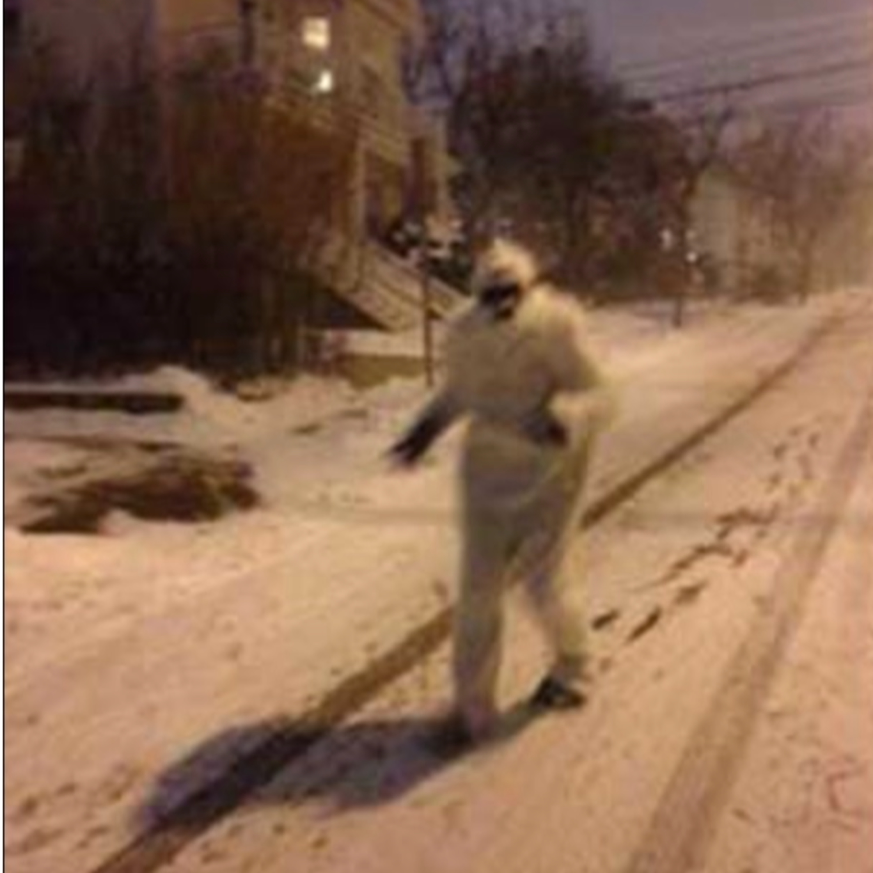 PLR 29: Lying to Cops during the Snowpocalypse w/ Luna Community Care episode artwork