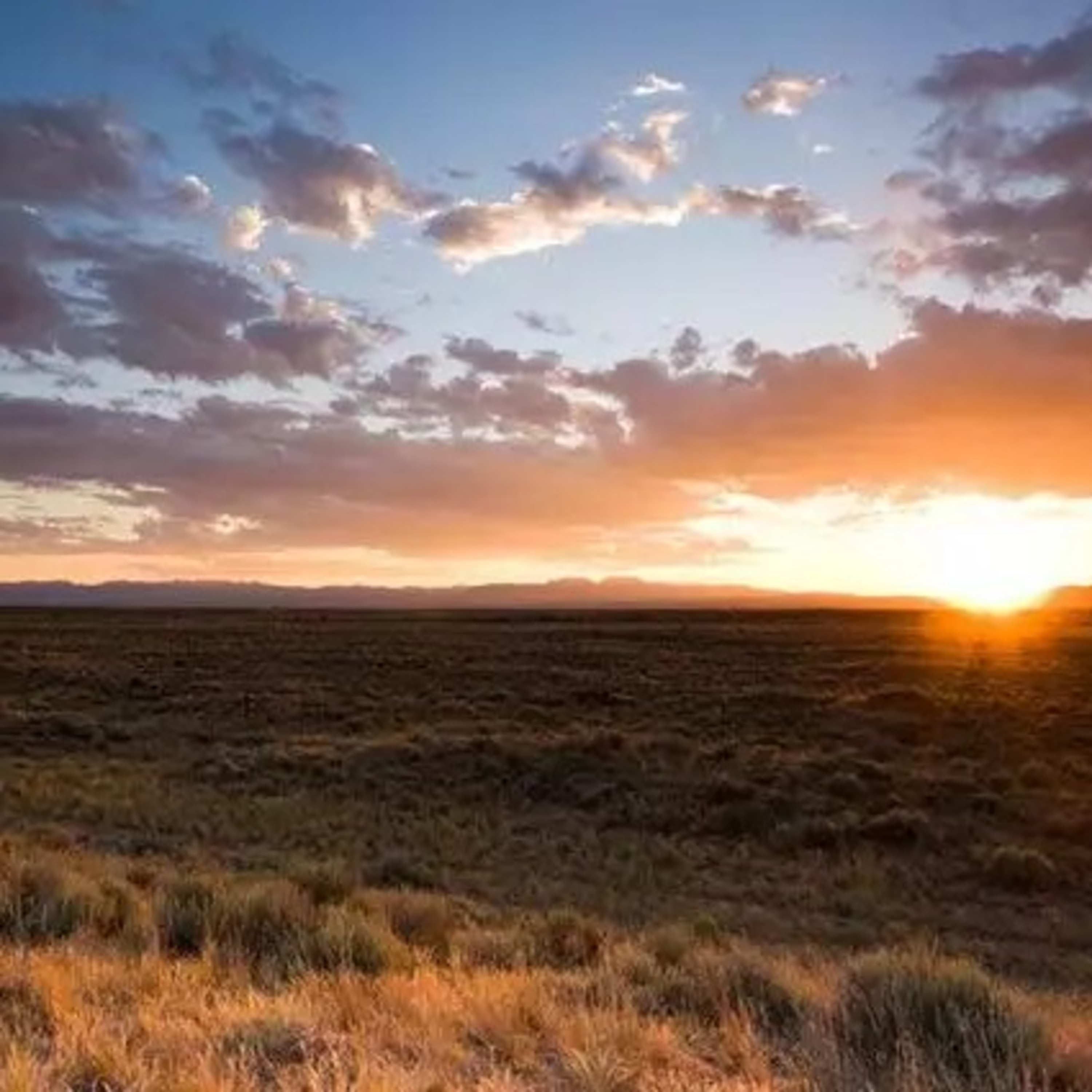 ECOCAST #Hora do Bioma: Campos Temperados/ Desertos Frios