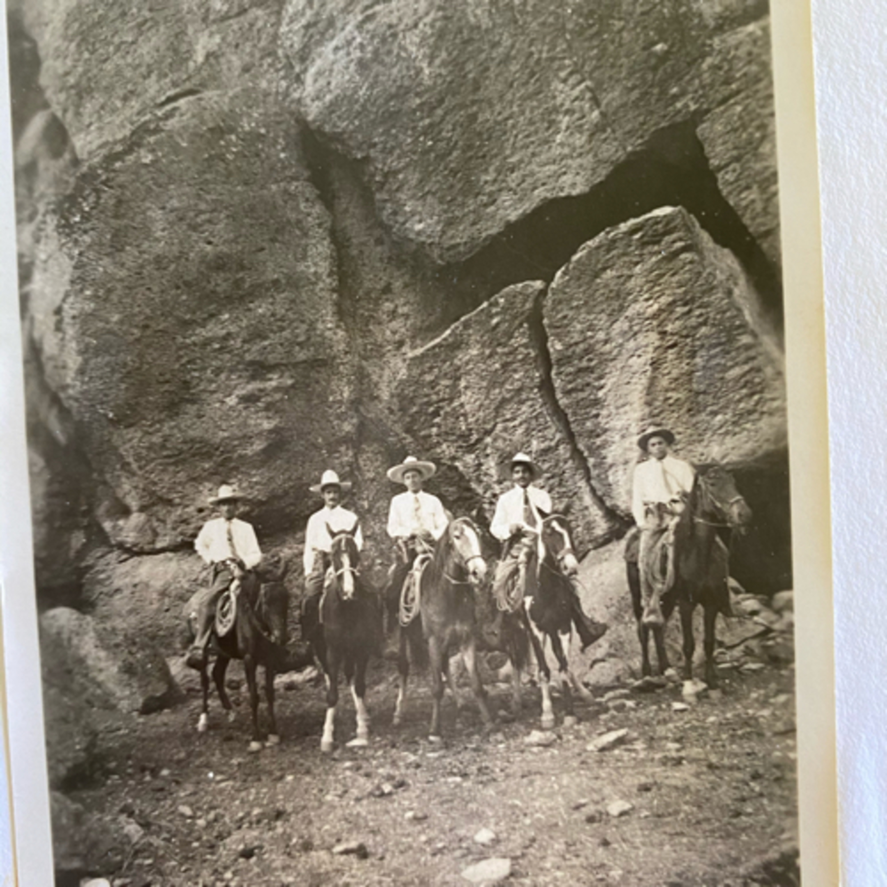 Cendradillas paraíso con olor a pino