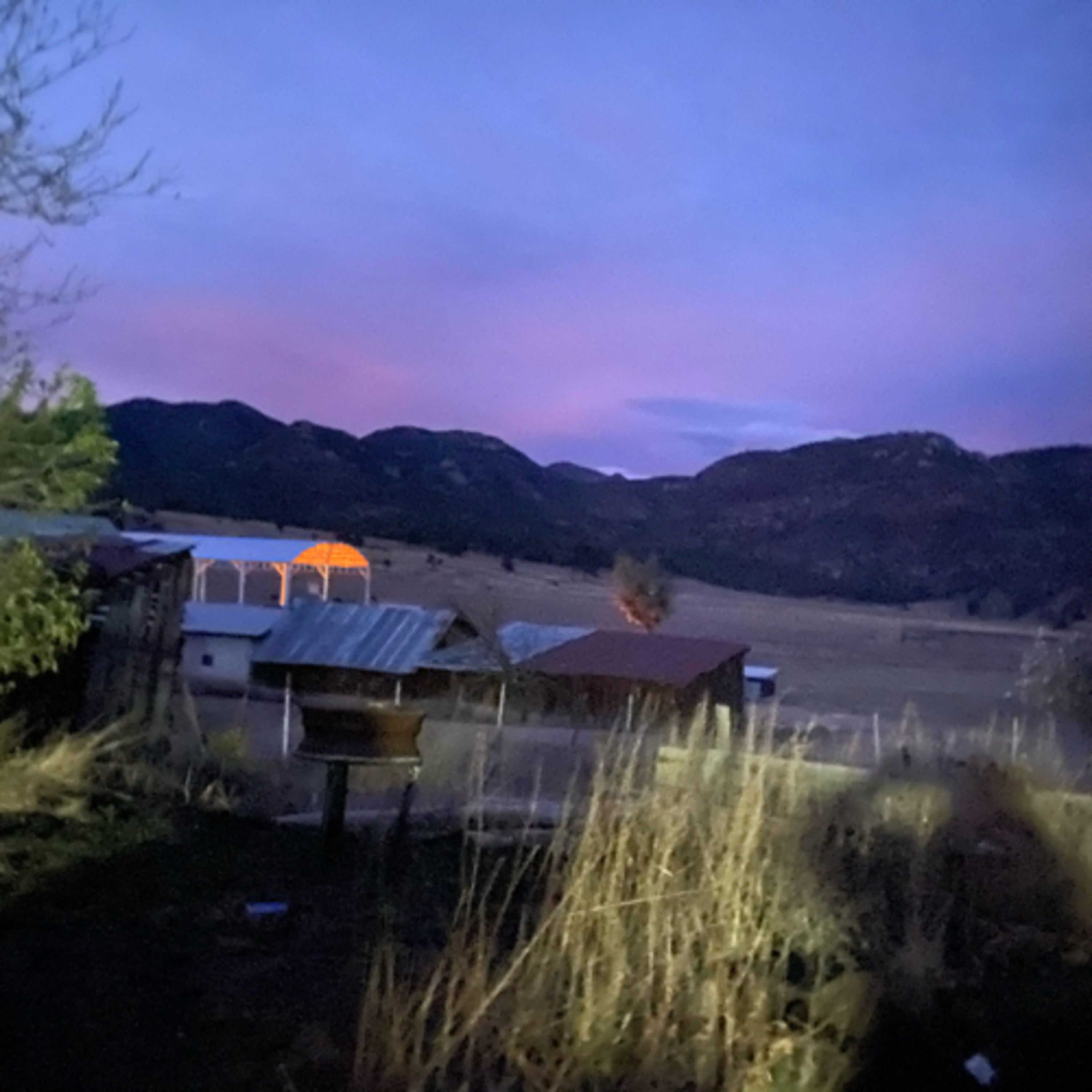 Cendradillas paraíso con olor a pino