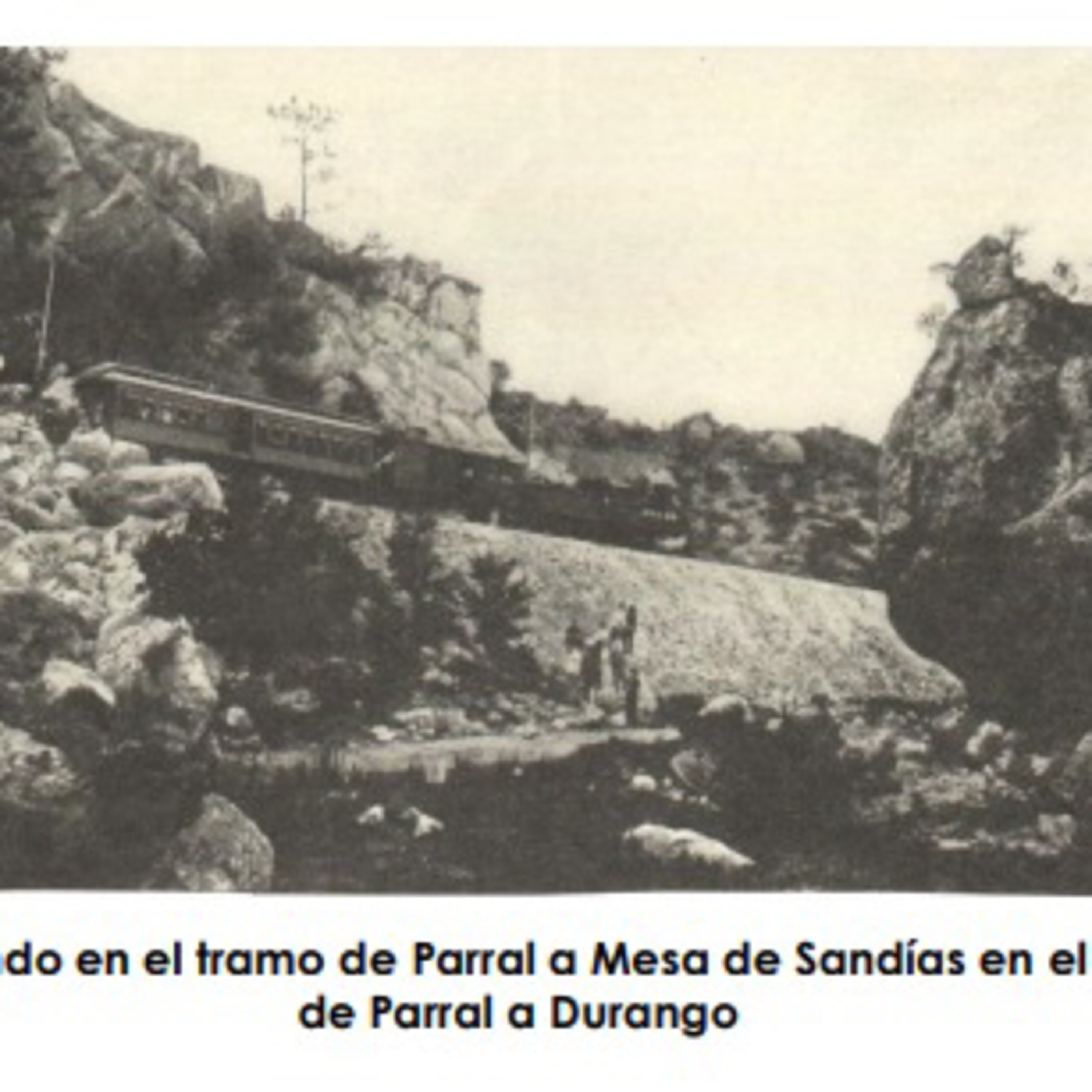 Cendradillas paraíso con olor a pino