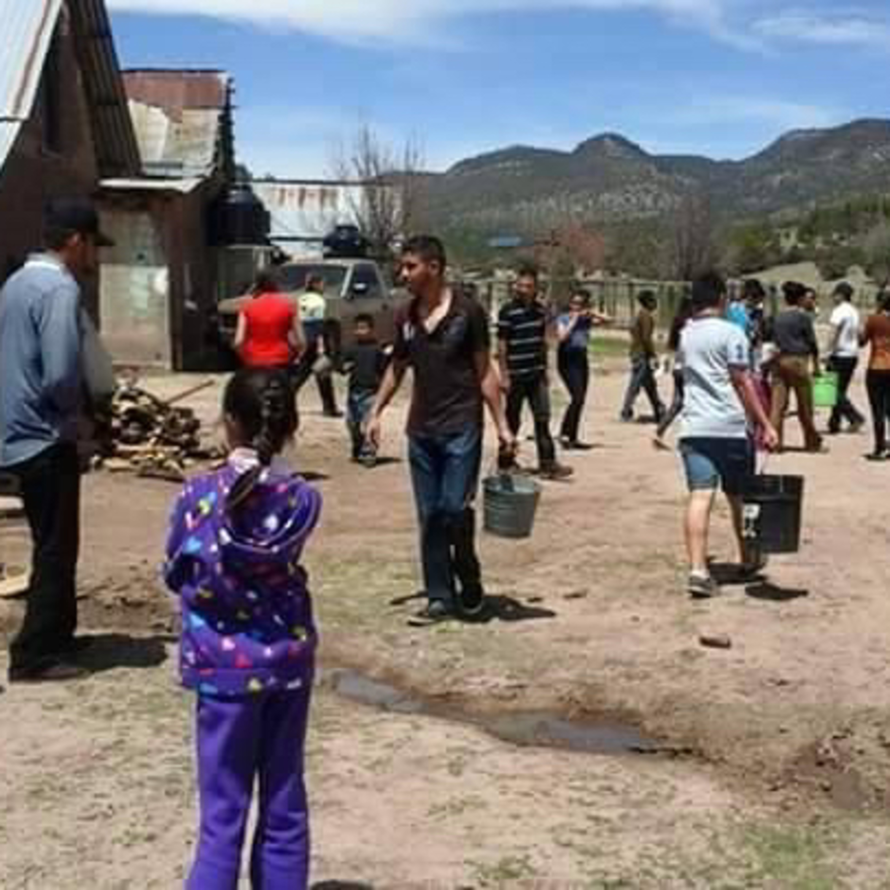Cendradillas paraíso con olor a pino