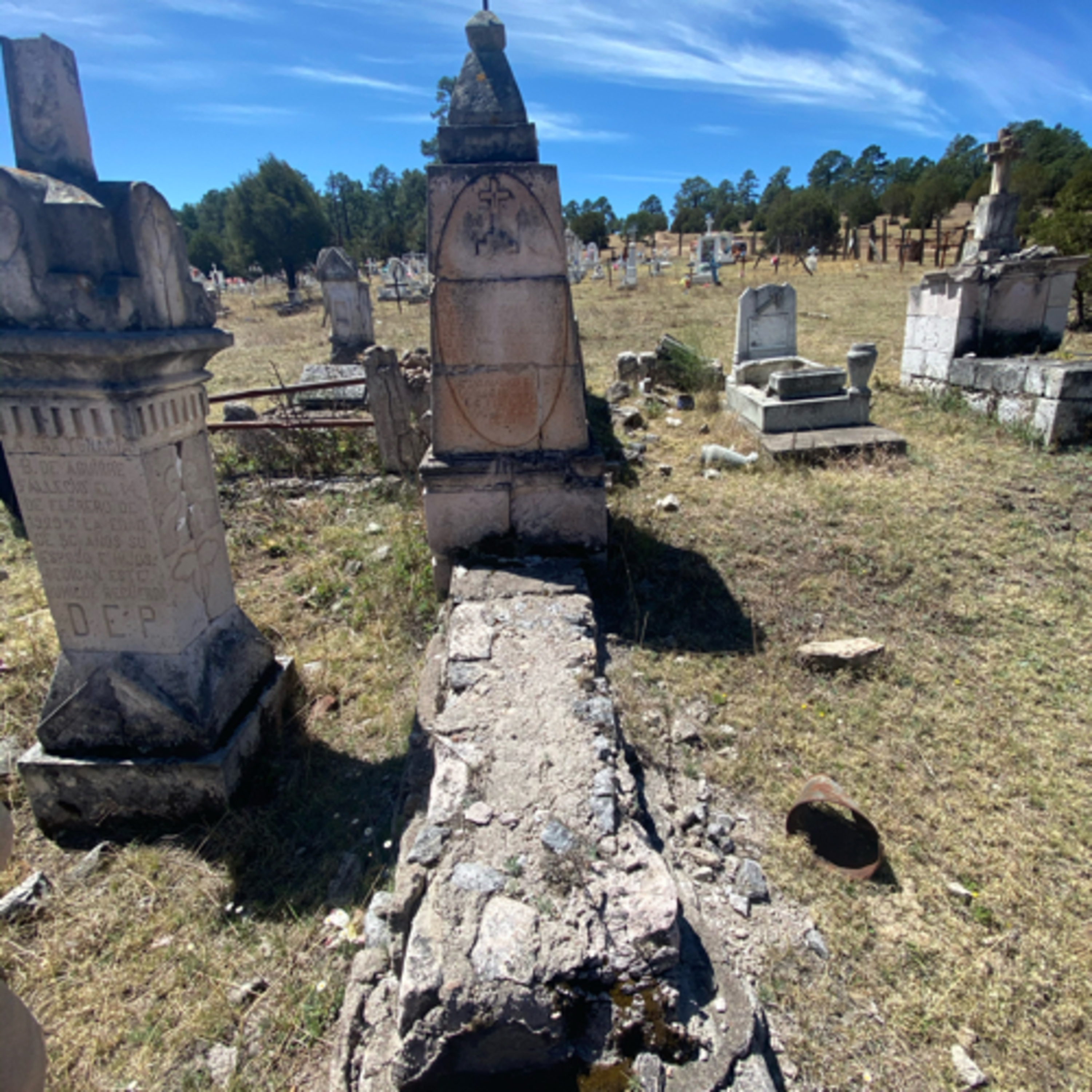 Cendradillas paraíso con olor a pino