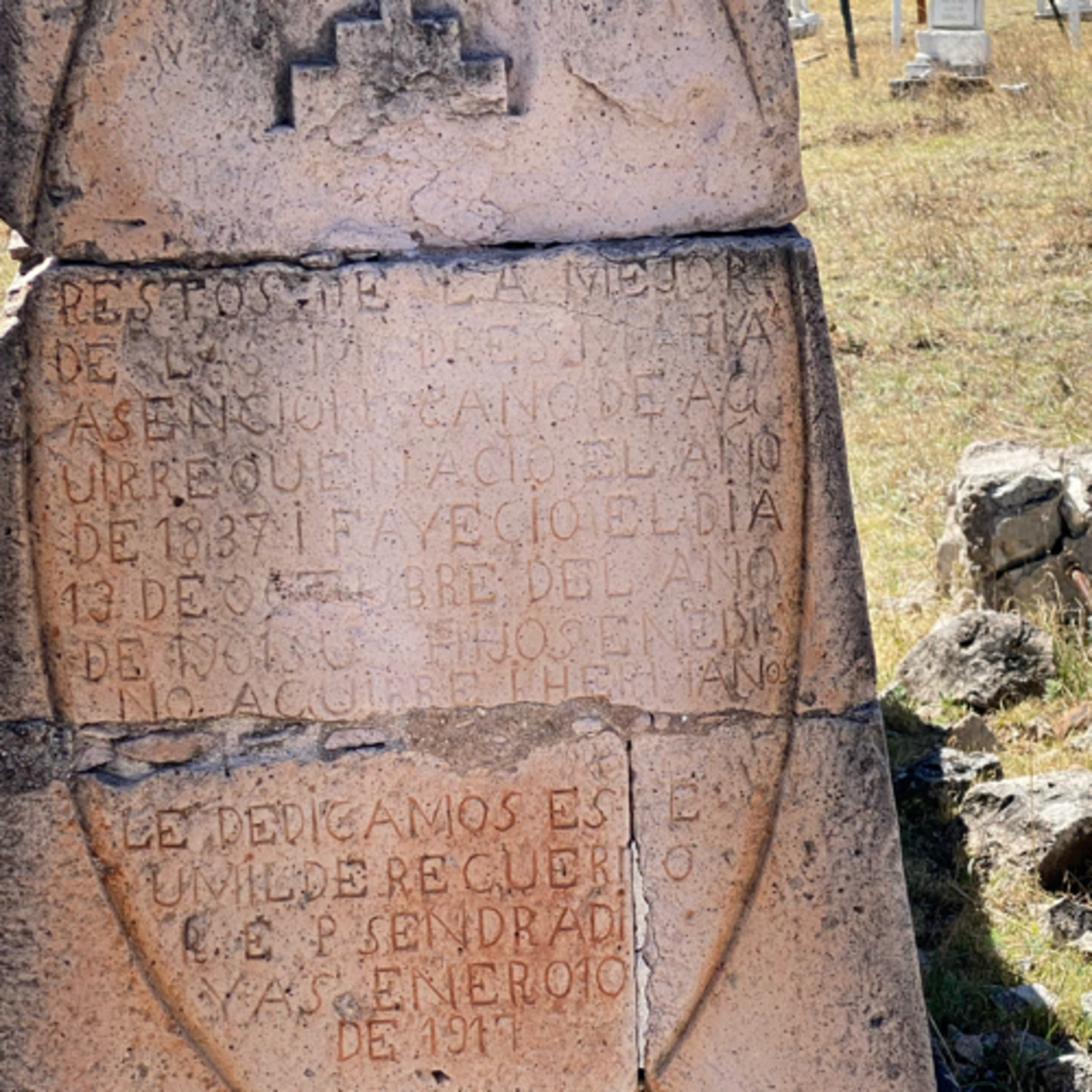 Cendradillas paraíso con olor a pino