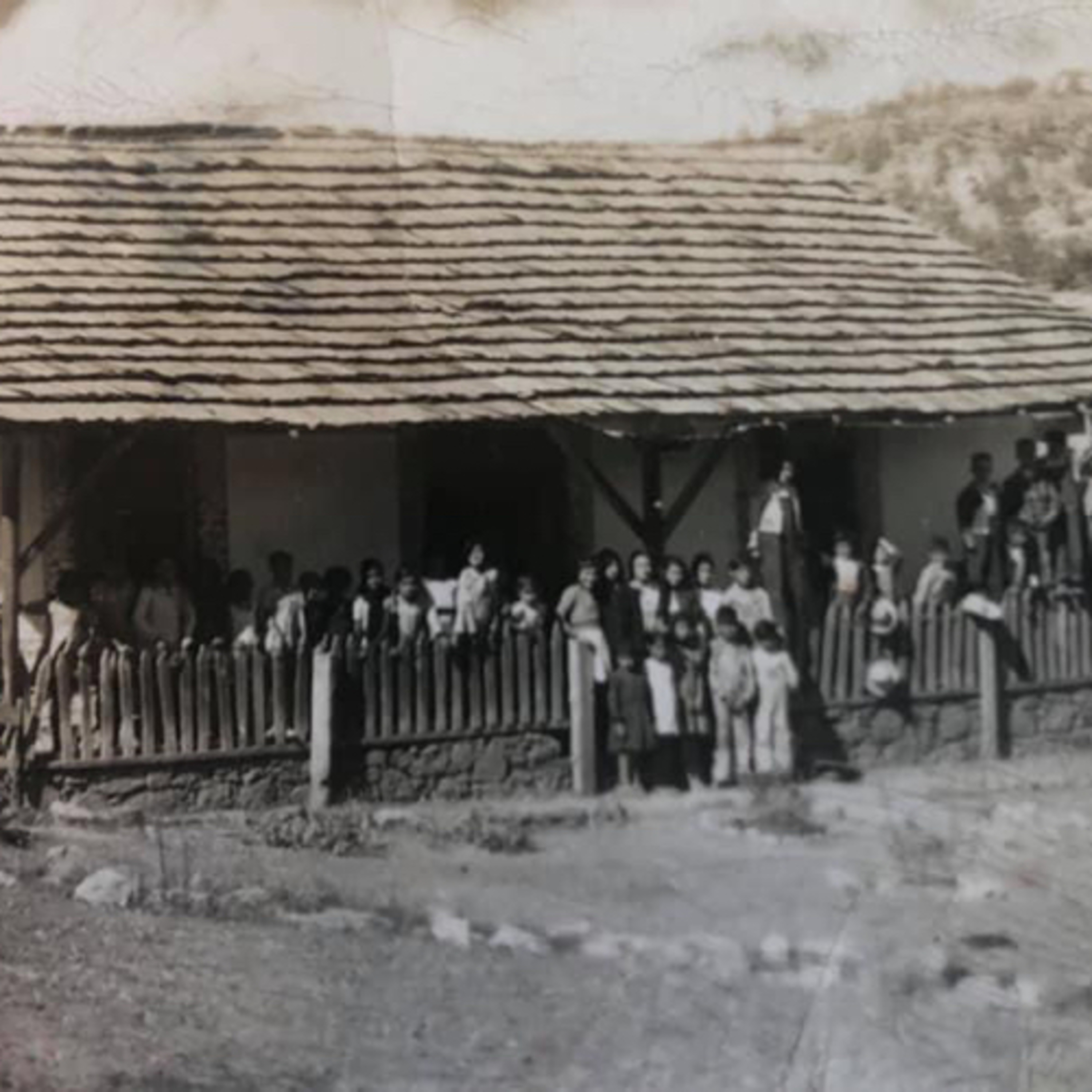 Cendradillas paraíso con olor a pino