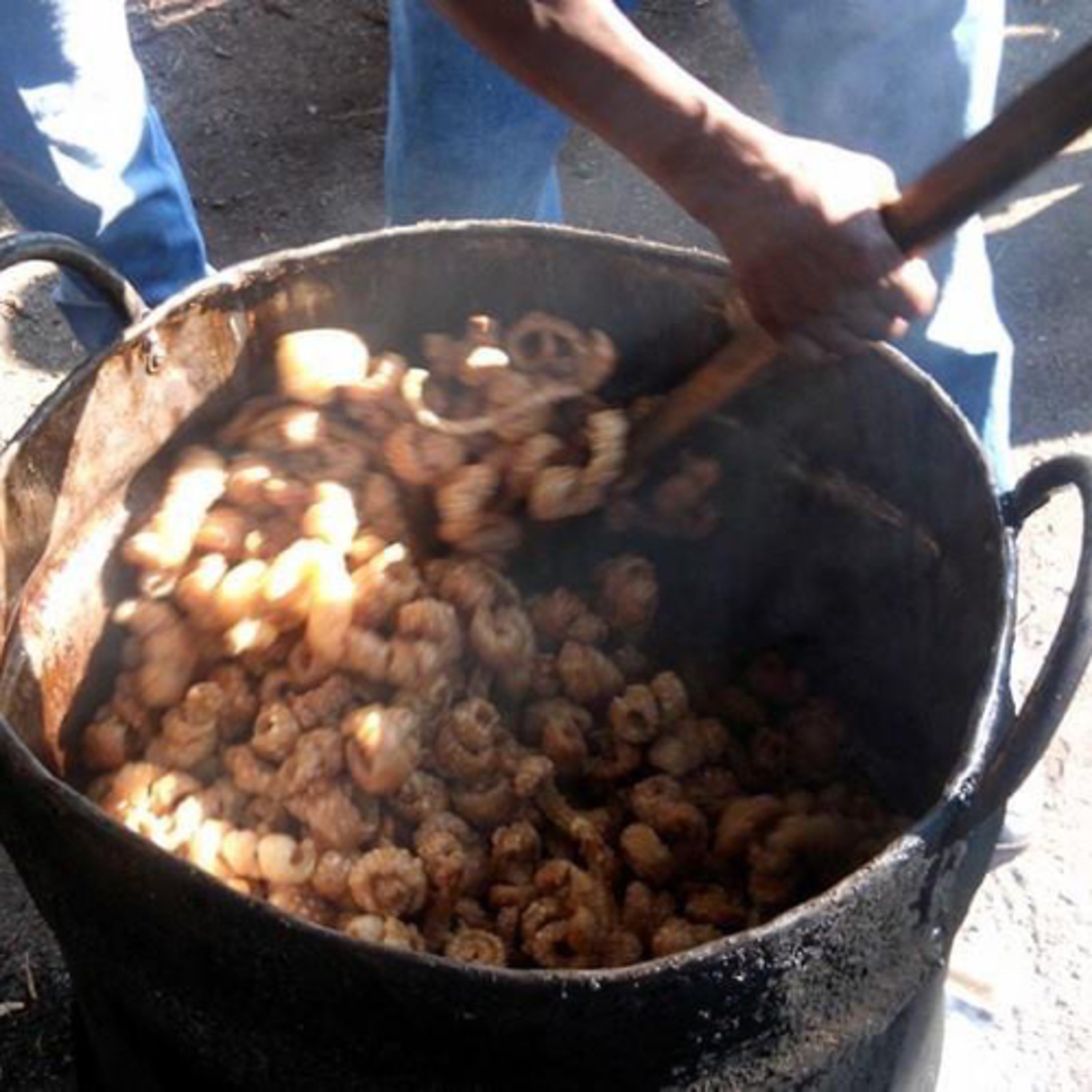 Cendradillas paraíso con olor a pino