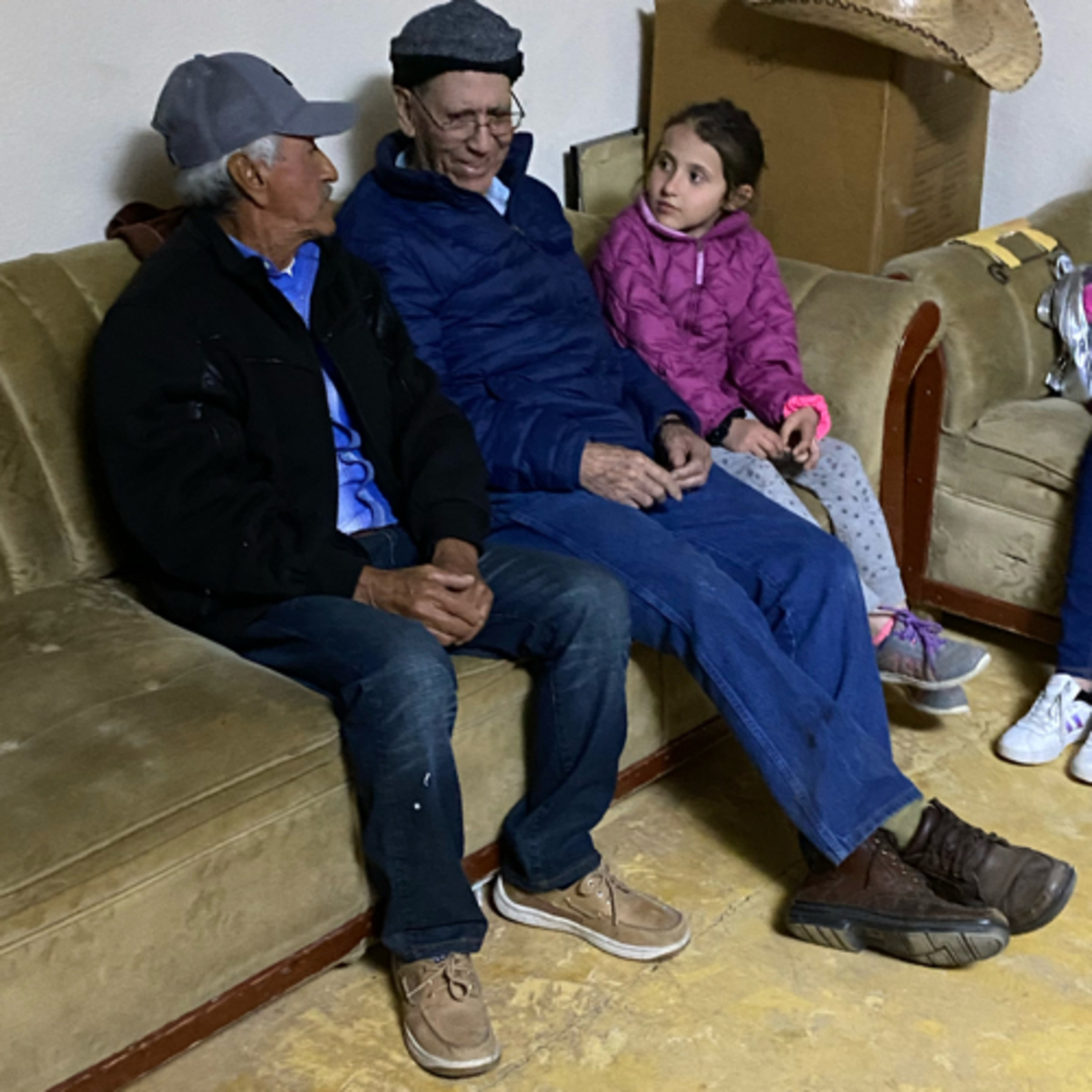 Cendradillas paraíso con olor a pino