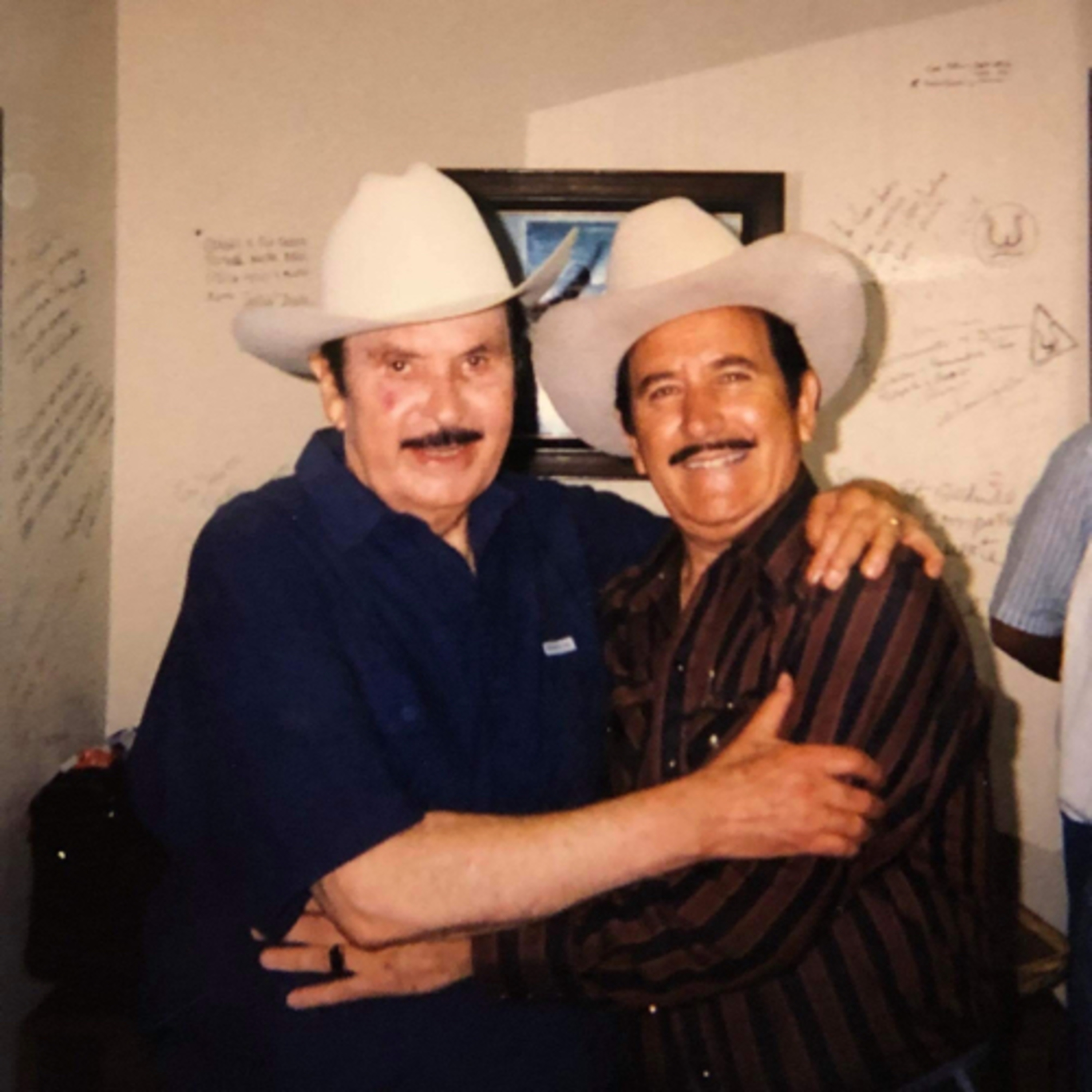 Cendradillas paraíso con olor a pino