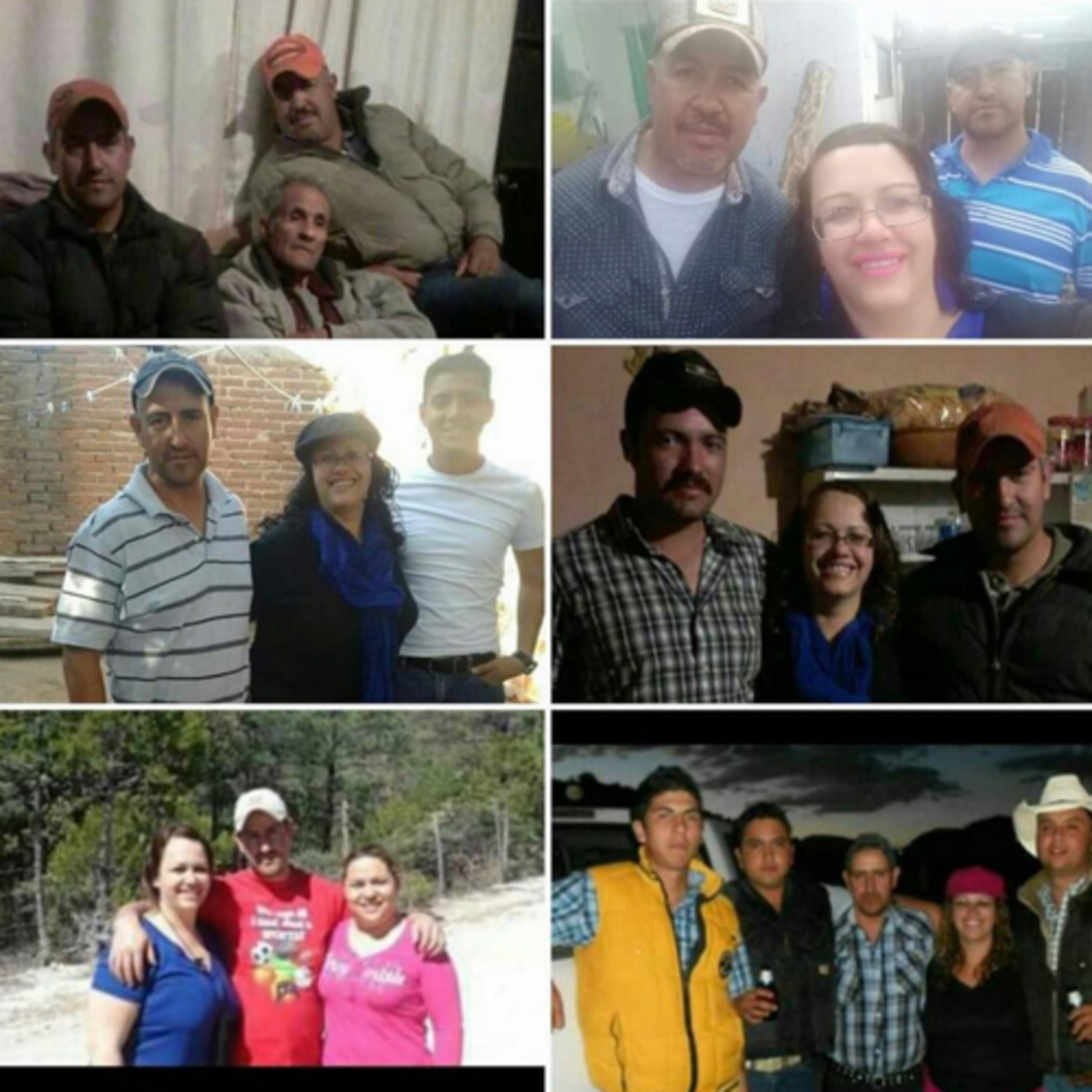 Cendradillas paraíso con olor a pino